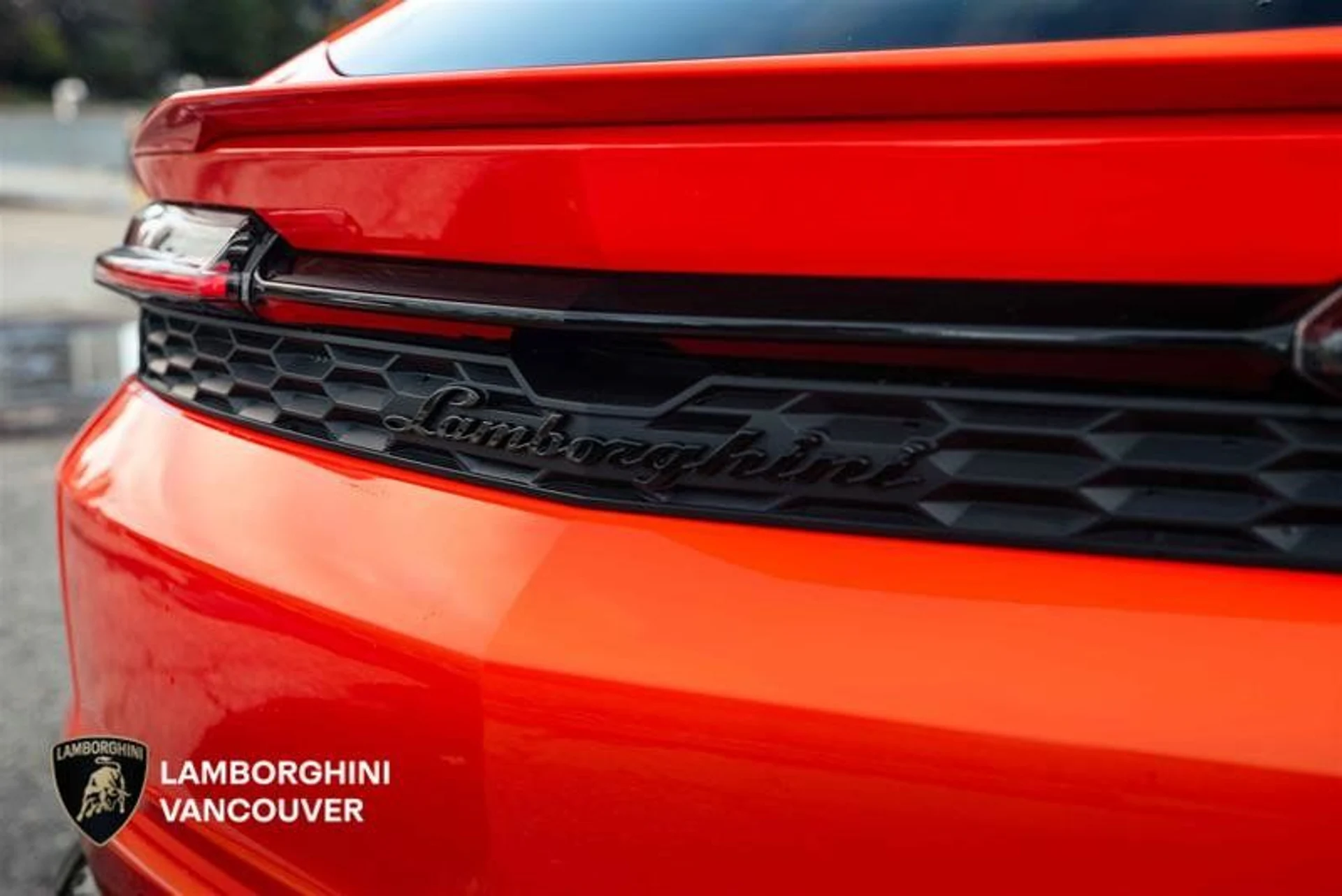 mph004_1294770096_37381056_07147_4lf2peju_f6ef6a7032