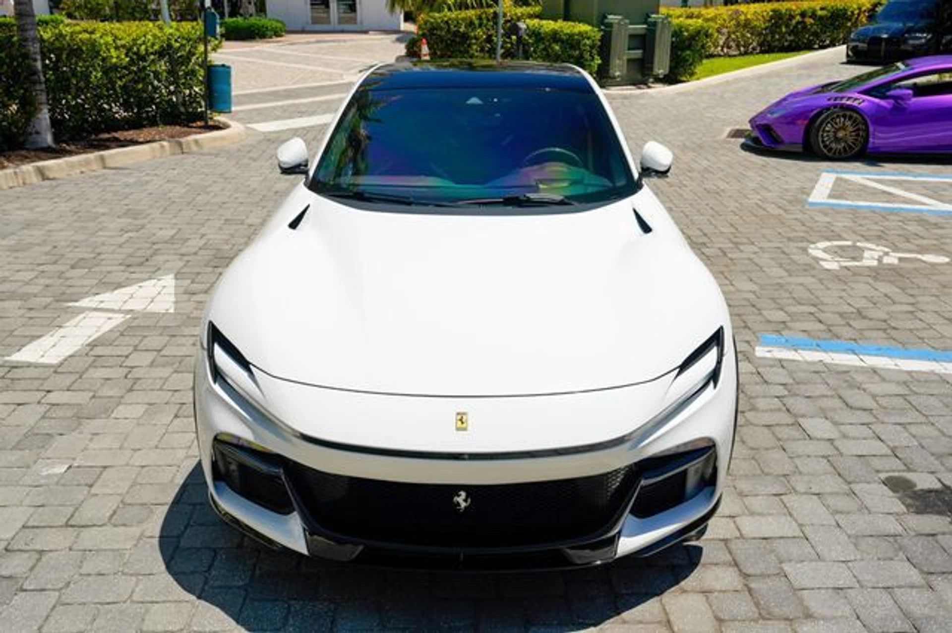 mph004_1415753520_23015679_5_6a56ccbb71