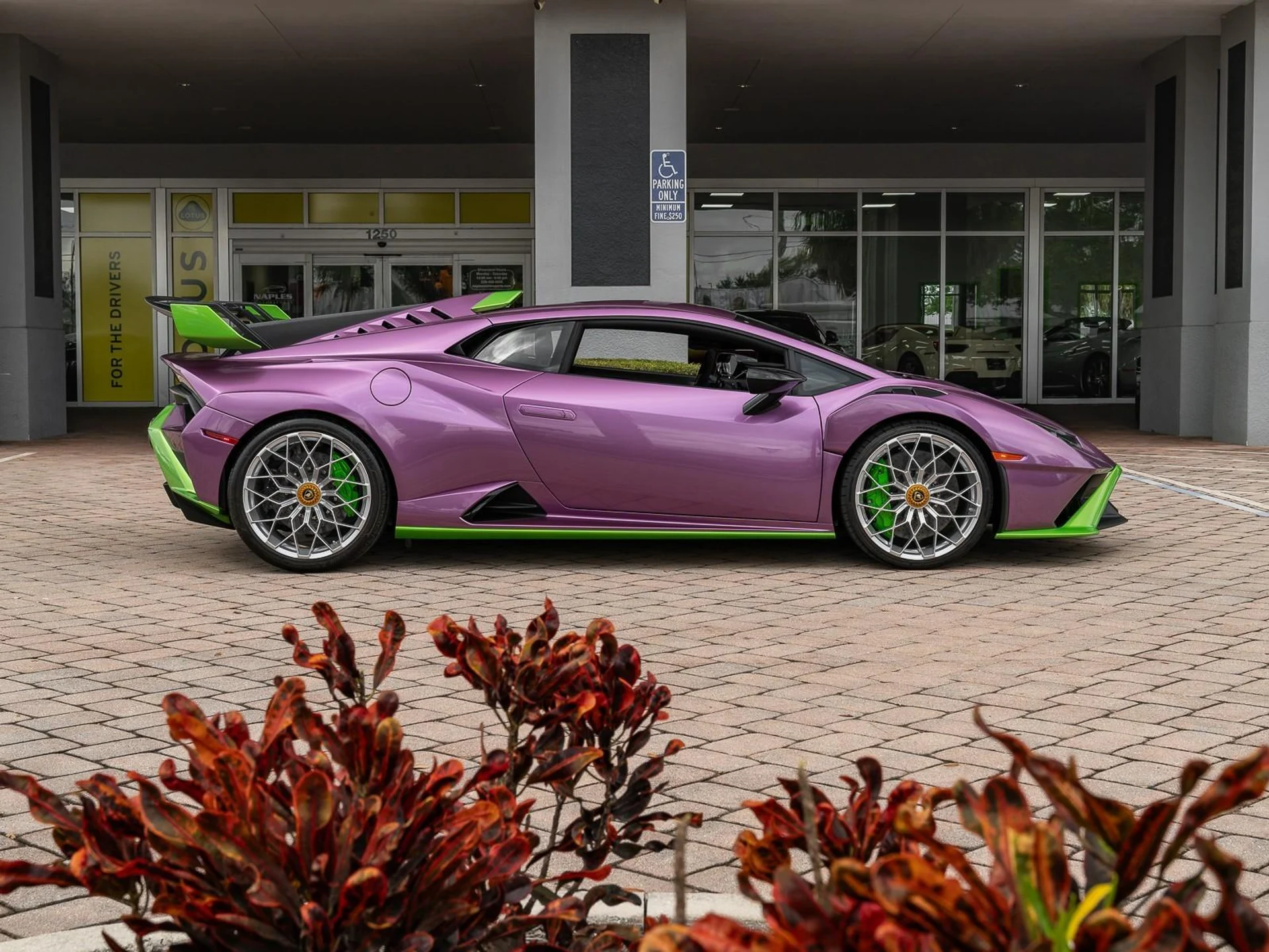 mph004_1464032253_Used_2023_Lamborghini_Huracan_STO_1767046119_526ffbe55a
