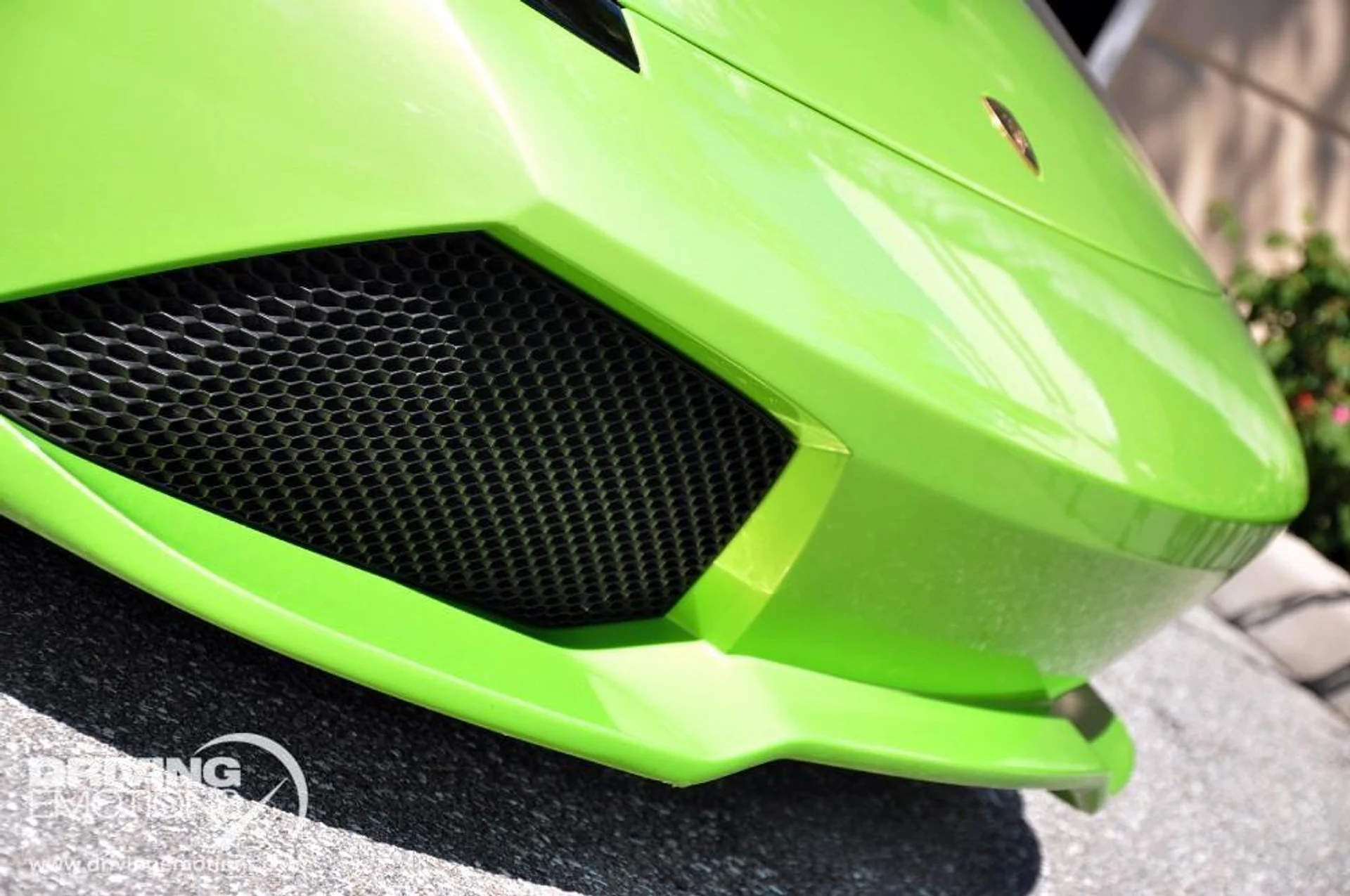 mph004_16356847_15_p5_l_e35126afa6