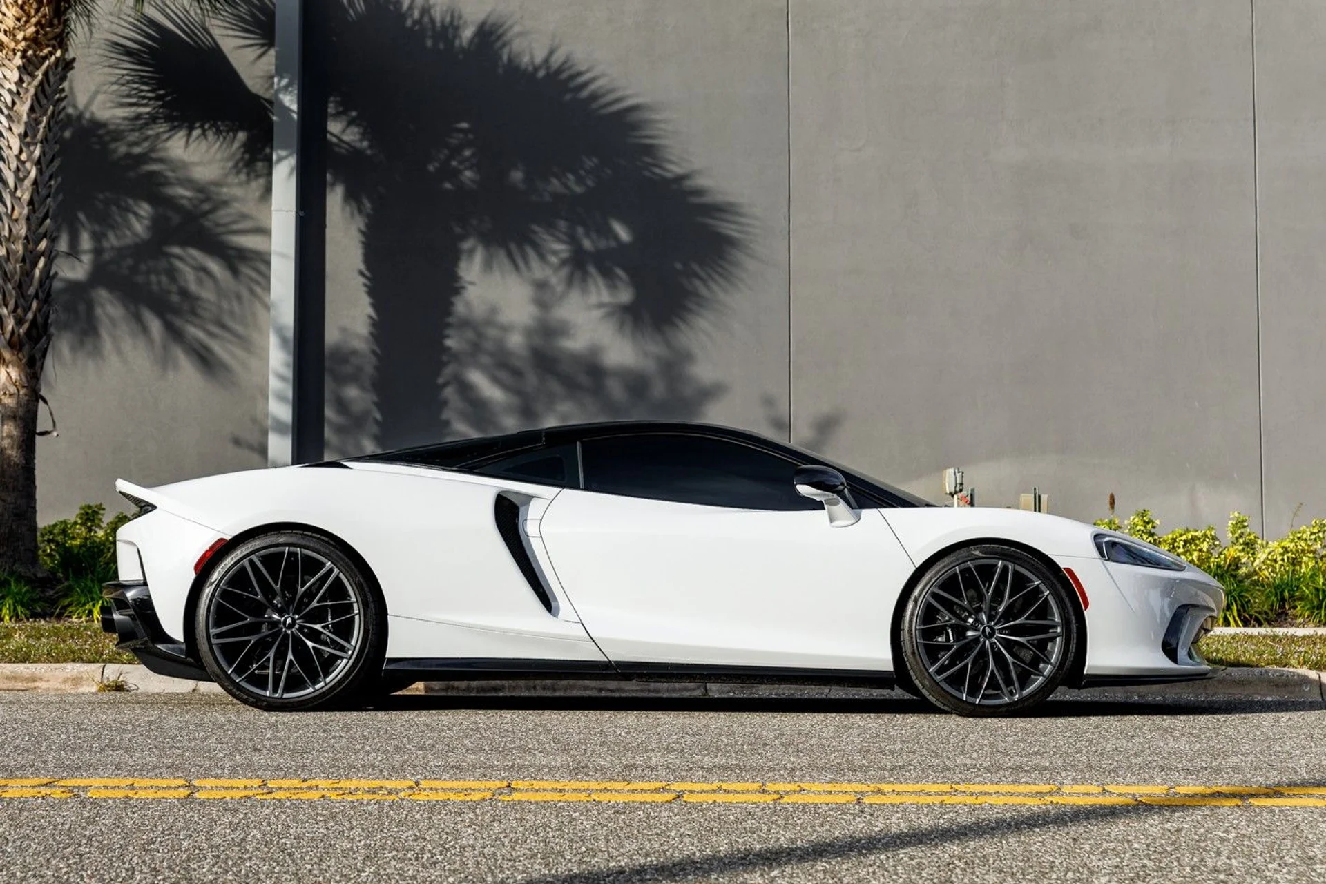 mph004_1704506916_631_p5_l_de3d3abe14