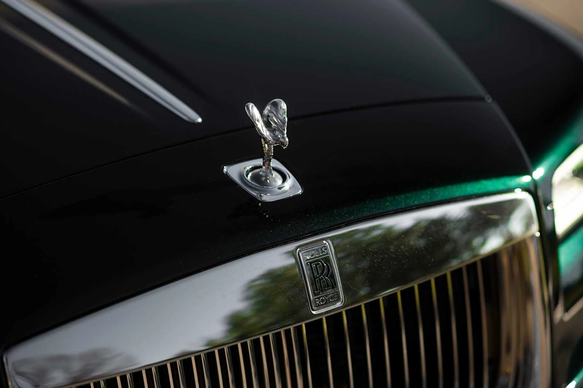 mph004_1736172933_5917cde5589011b5a683df89d0105cb9x_1bcb51a143