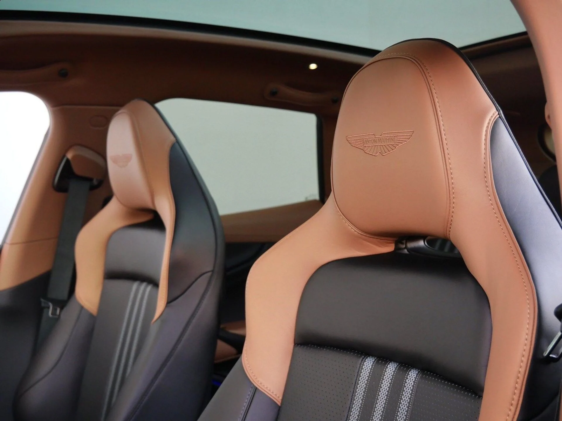 mph004_1771910254_ddd70c216d02f736ac3f029e6aa9c5abx_b26dbf7f63