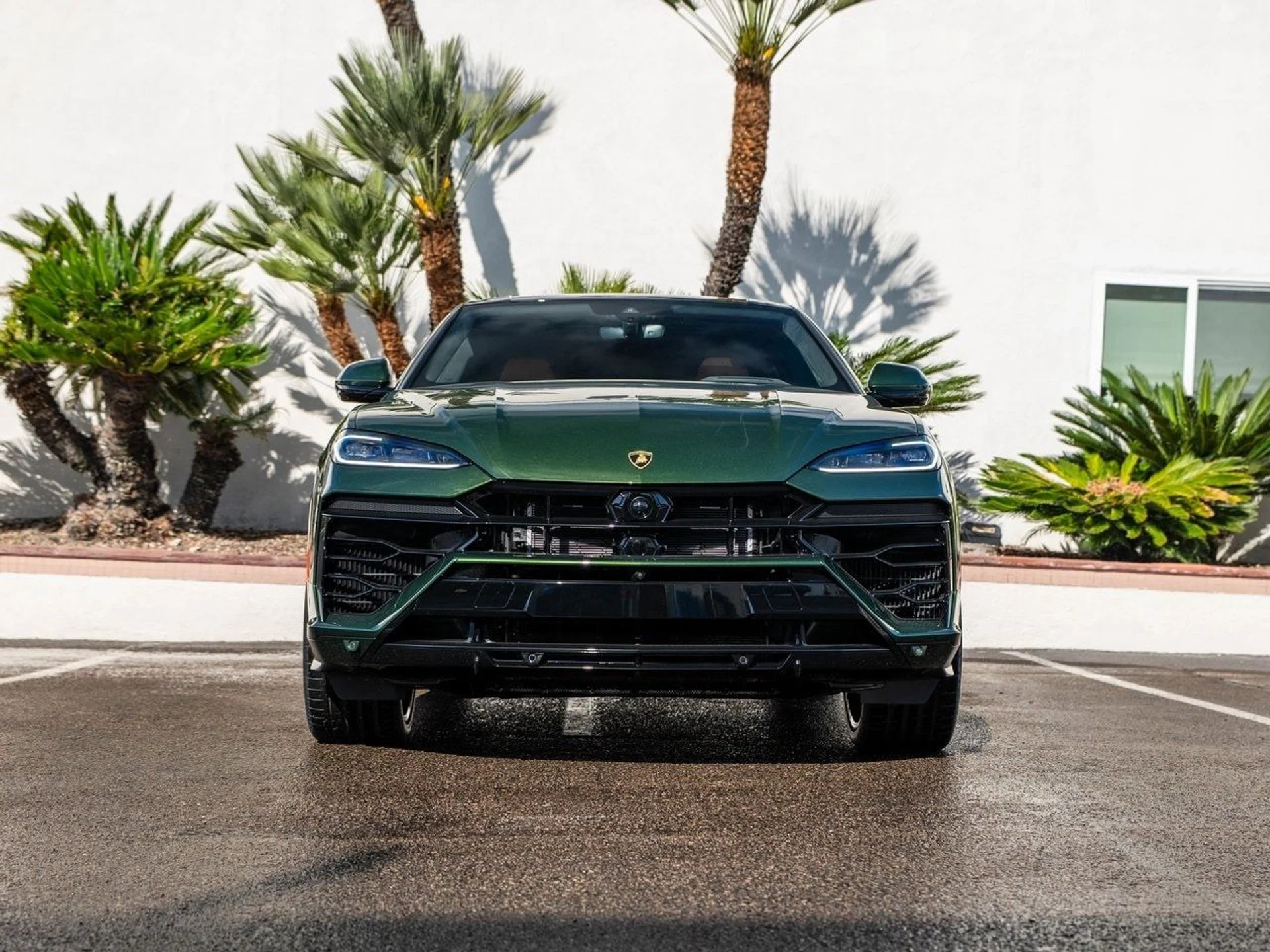 mph004_1909977686_b340f54f374b6f10c92714074dde3df7x_0f8008eae6