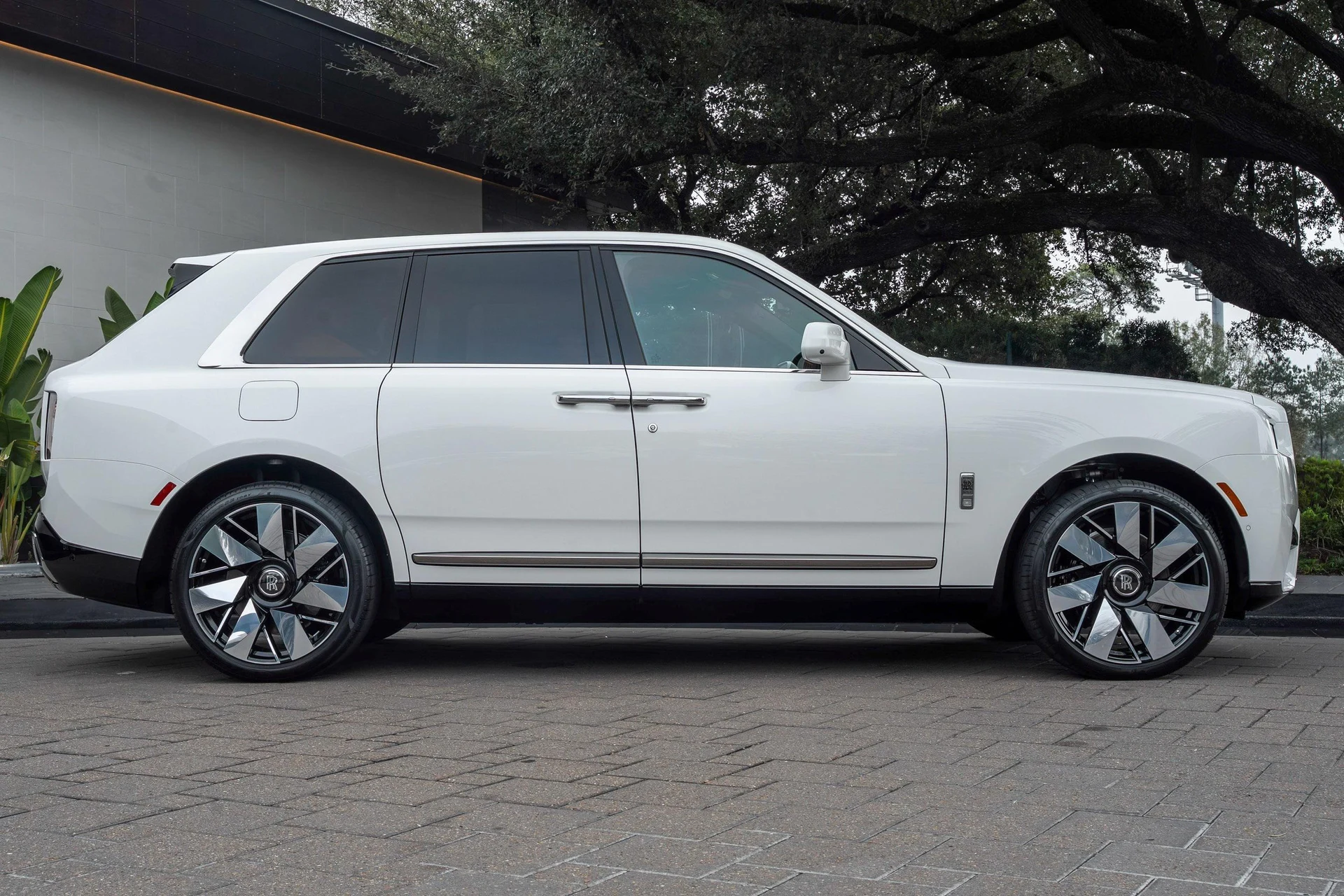 mph004_202290388_477983144_695f53e44b0ded1c3975a60d_3504618838