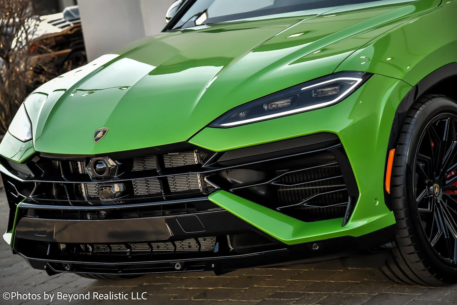 mph004_2058865123_188778999743b5bea92c7ea9481b8919x_e192718979