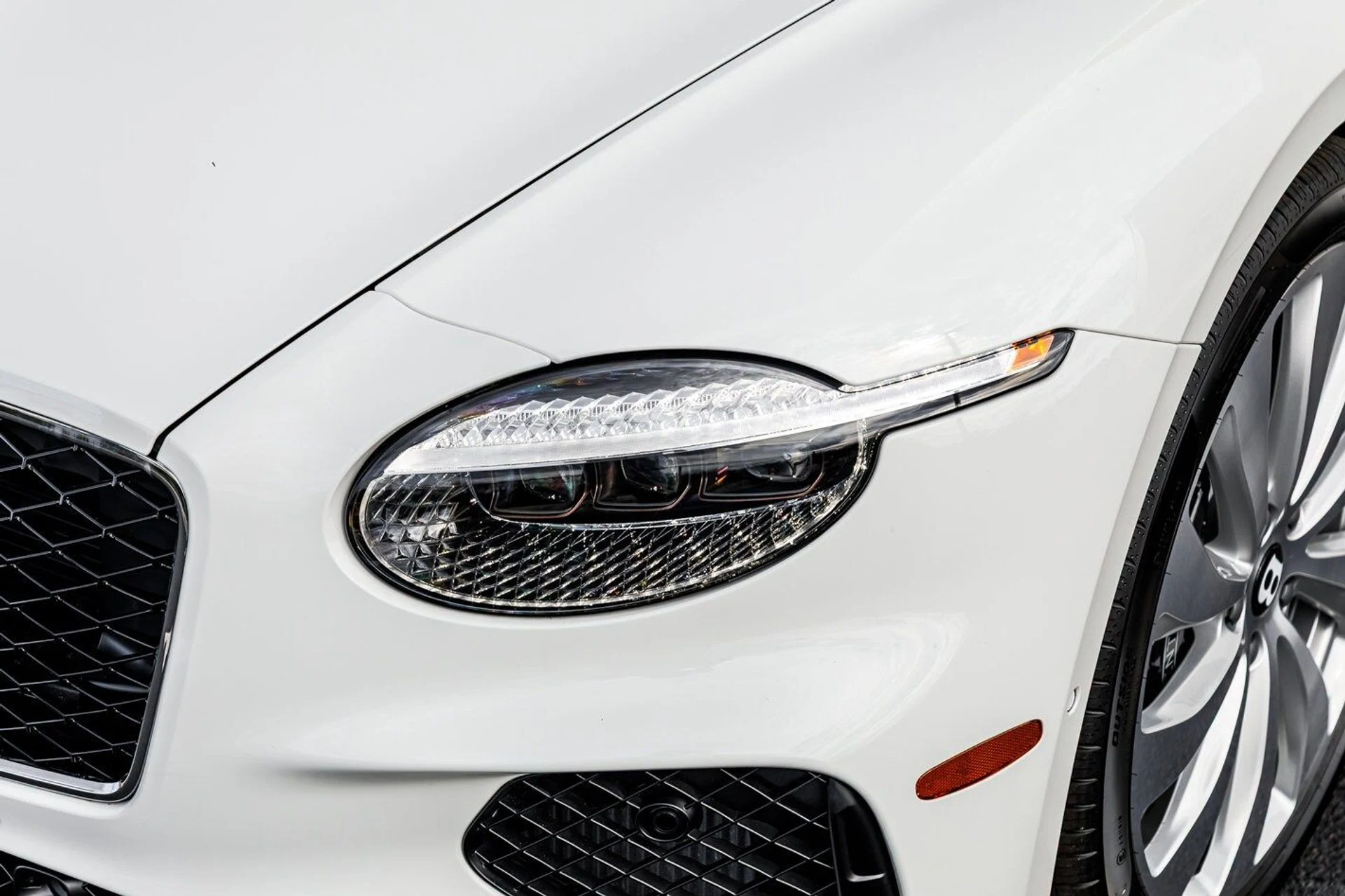 mph004_2133577428_e80d6e913743b55518305c217878b647x_83e63d1951