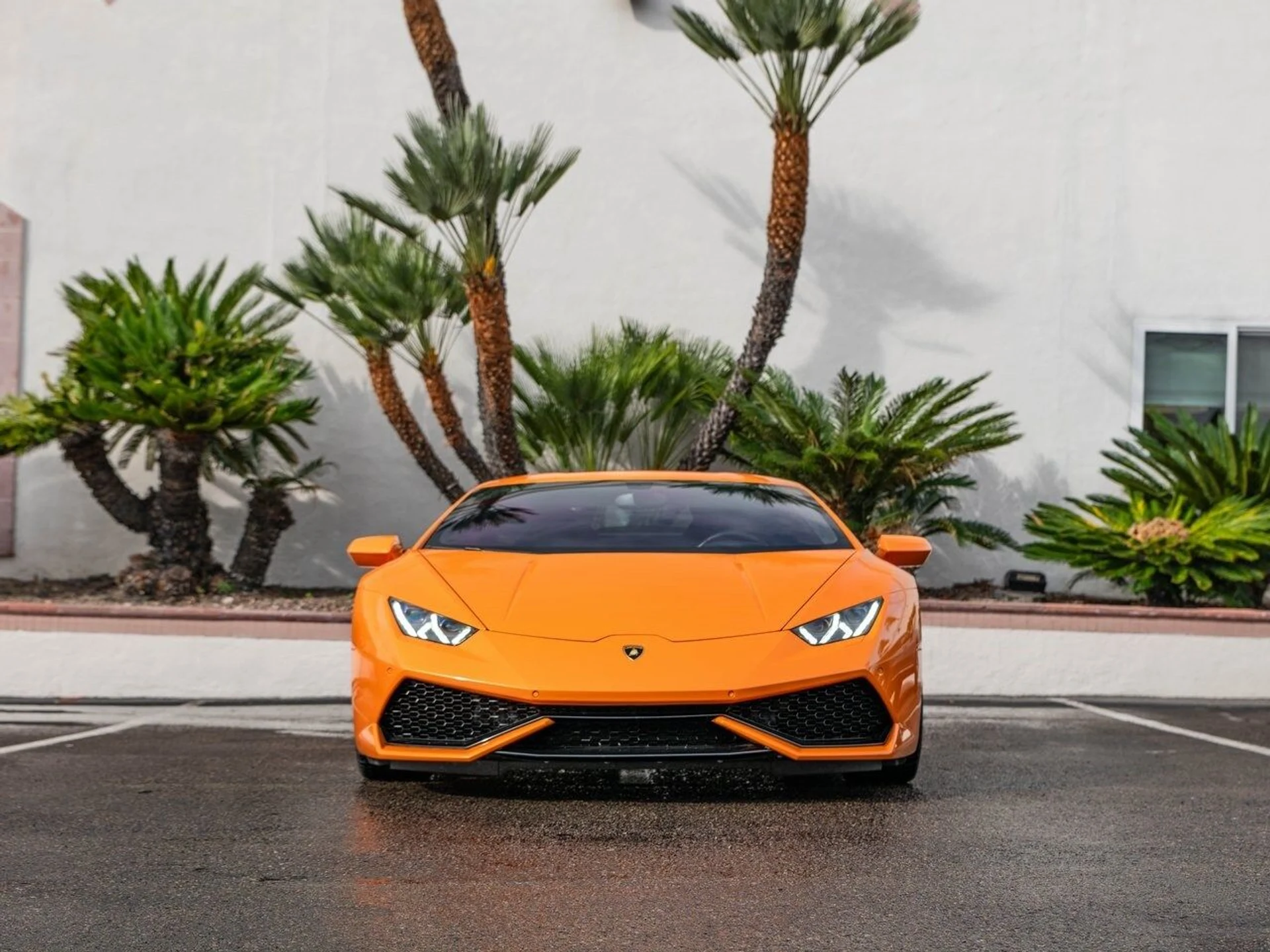 mph004_2179174363_5fc0e32a5c0bad33fd19a09fc5da63b5x_e602df220d