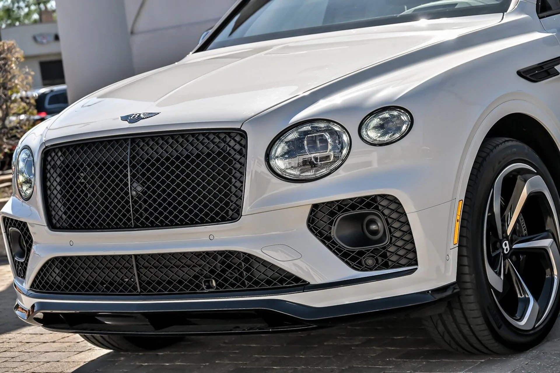 mph004_2214876392_3e24ff49fb515588b016649b384bd0d1x_ac8e149229