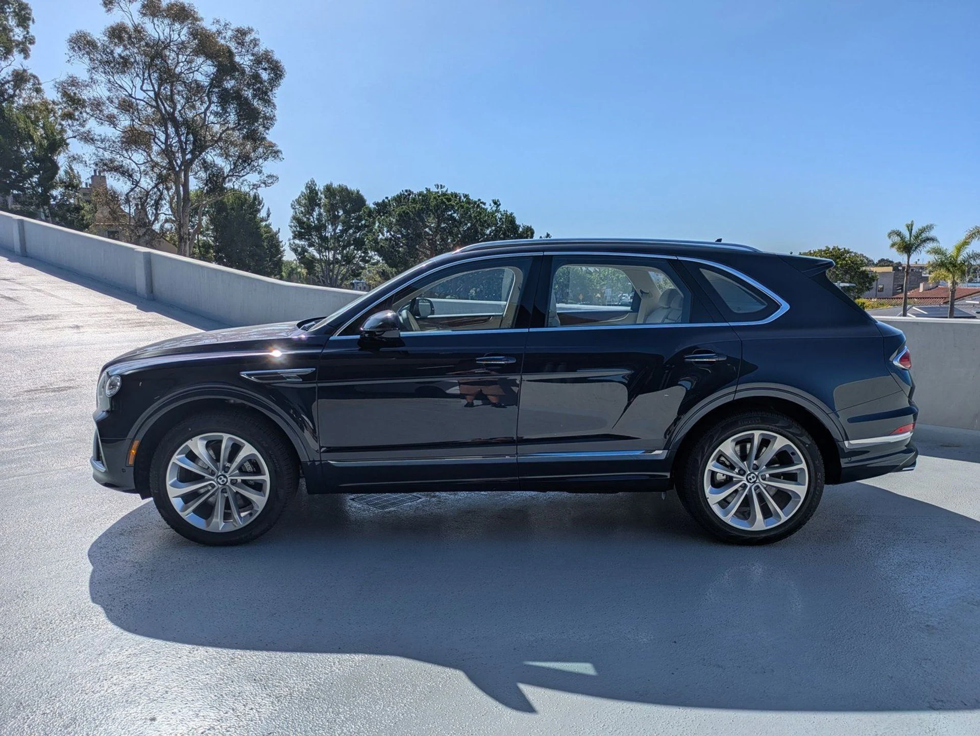 mph004_2336554009_c66039981e96c860f74da253b7b501dex_e38660ab42