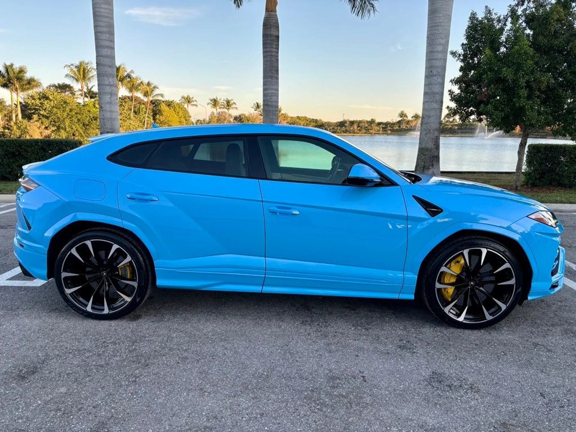 mph004_2343064668_06344eaa16e8f50c1baf2a7061ee127c_a005733a98