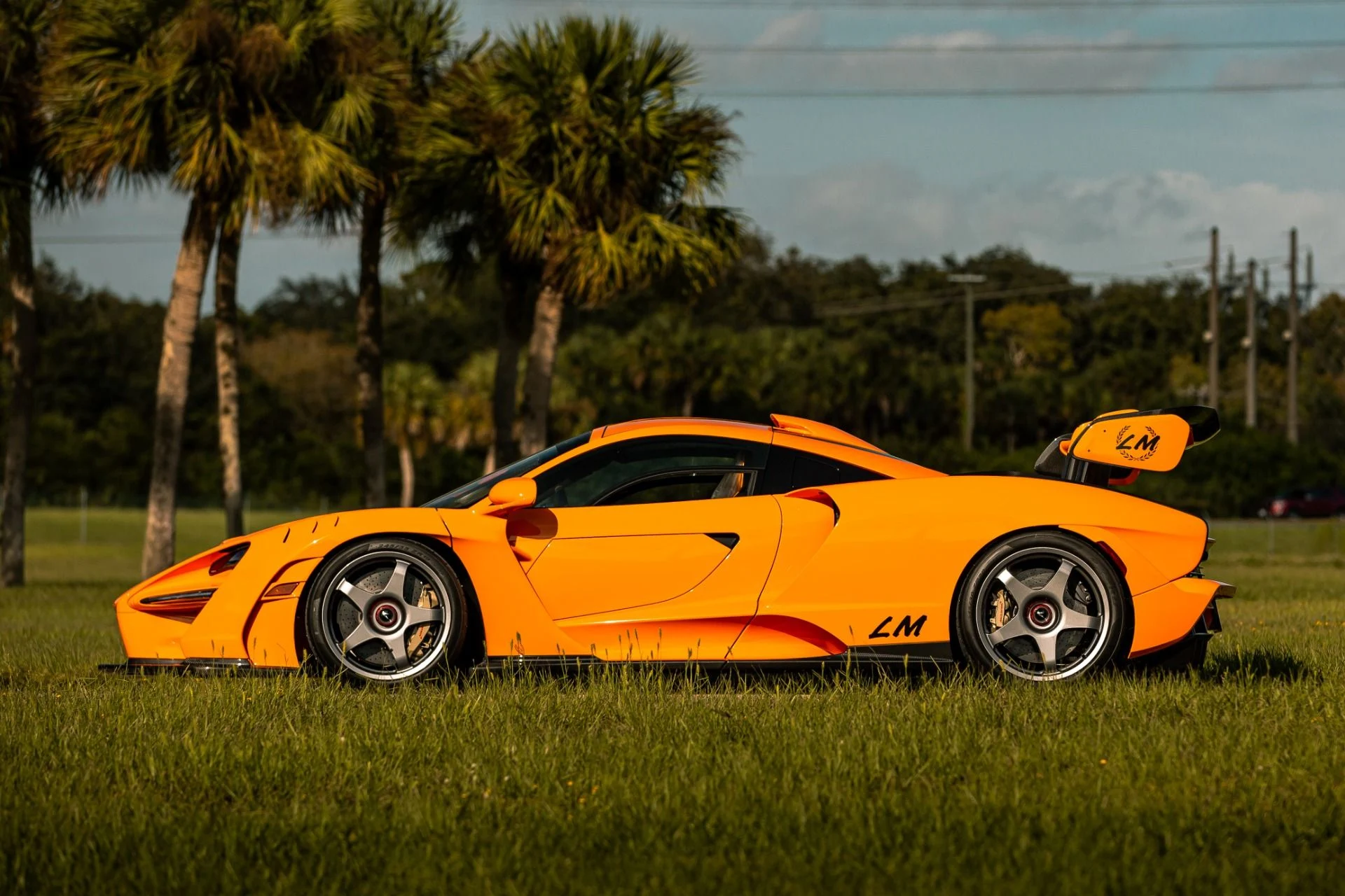 mph004_2408901657_323_p5_l_1678917ed4