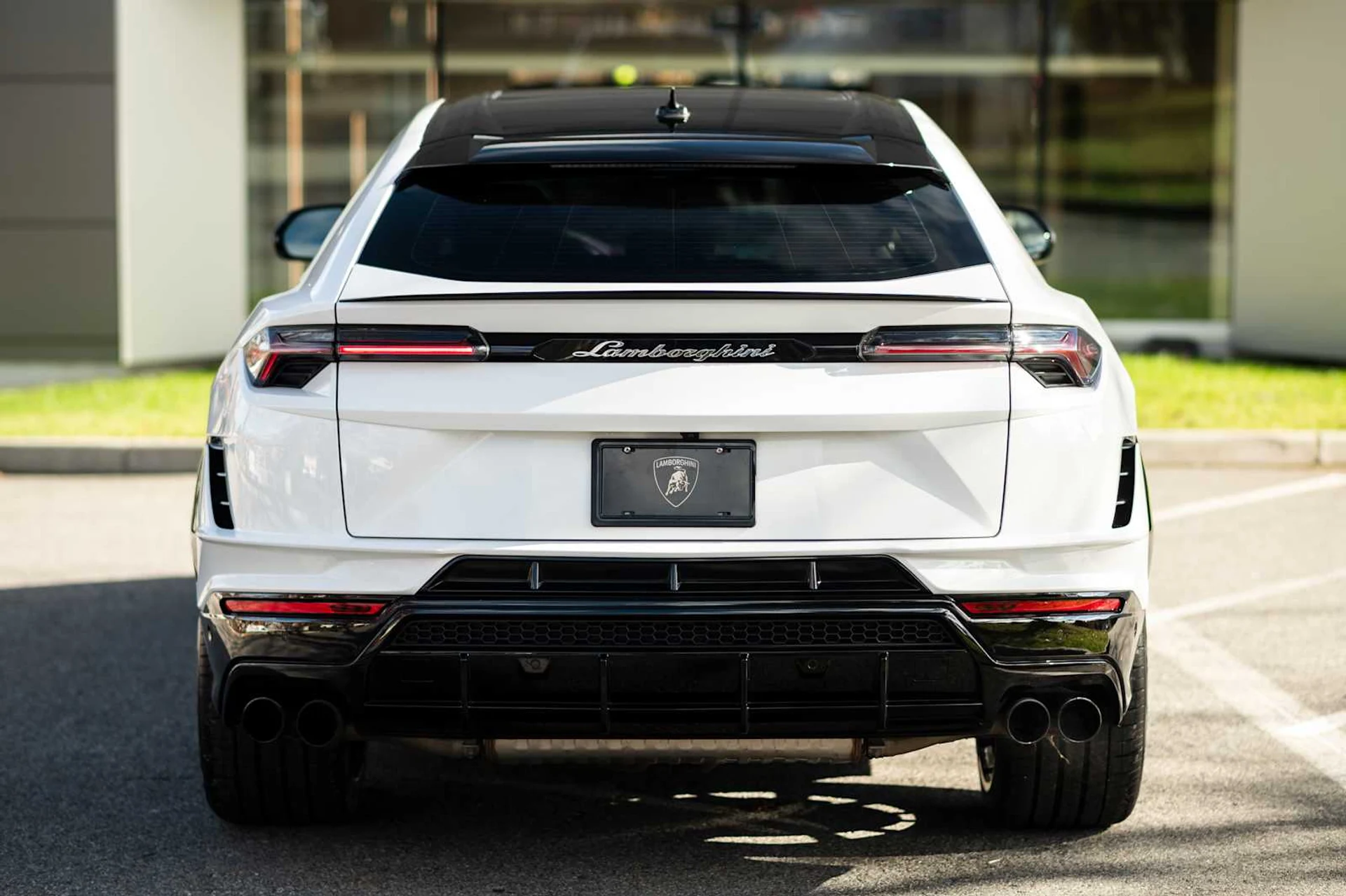 mph004_2440046433_482d4cd8eadbcaebf1df2c5261da2a1ex_8a509eb563