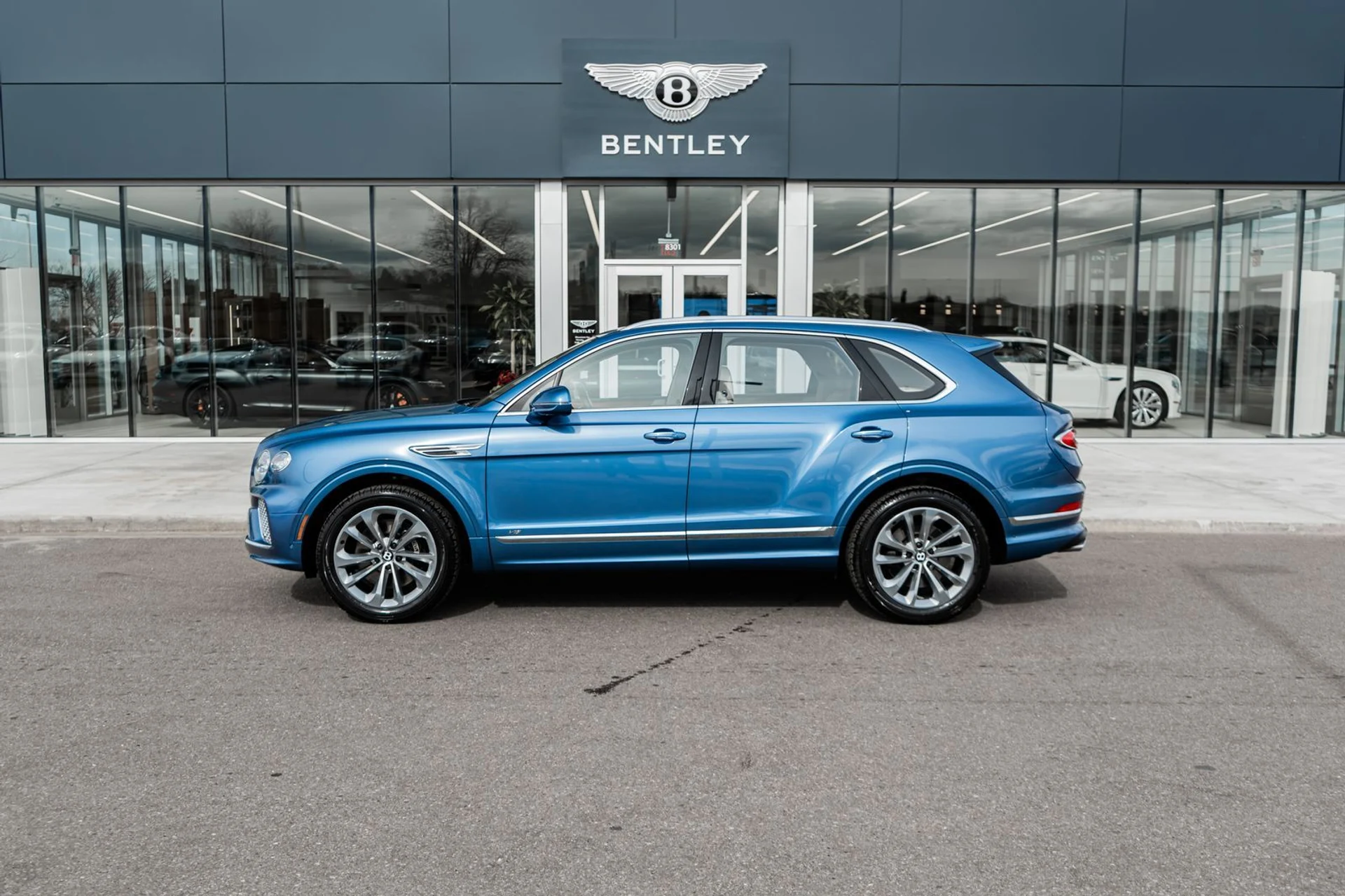 mph004_2545510038_8cc0c4d3_9279_461f_8217_71a82c479793_ee4feec9a2