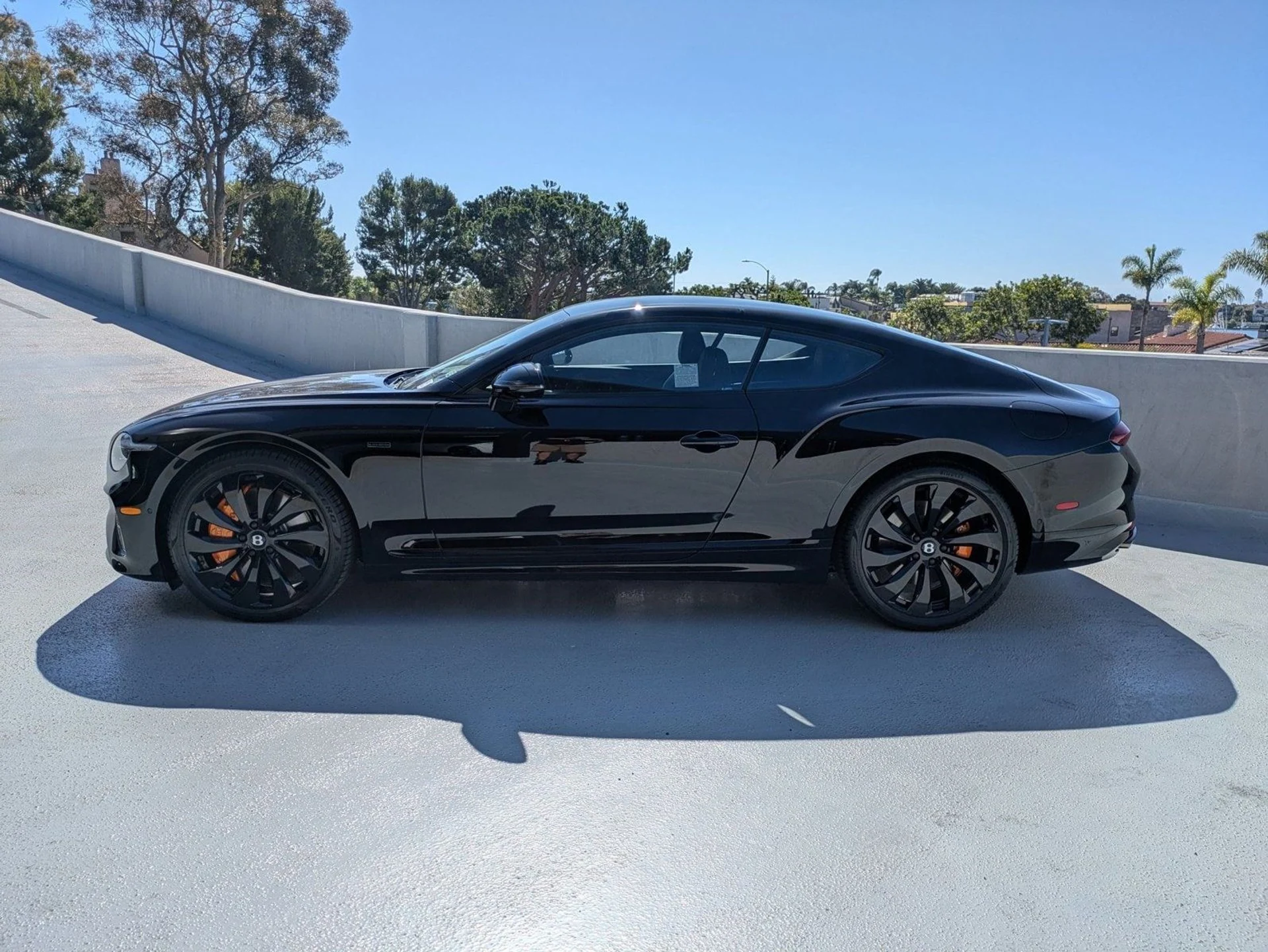 mph004_2738305096_e81cacd65b44355e29d8dba8864f11ecx_5e1250e2e6