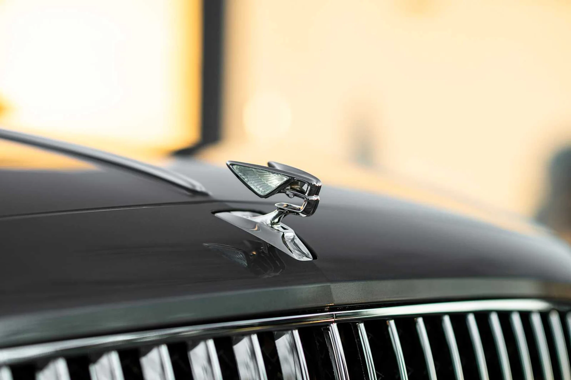 mph004_2816793412_04dace686d2e9ef847e50b39bfa48927x_d654af3889