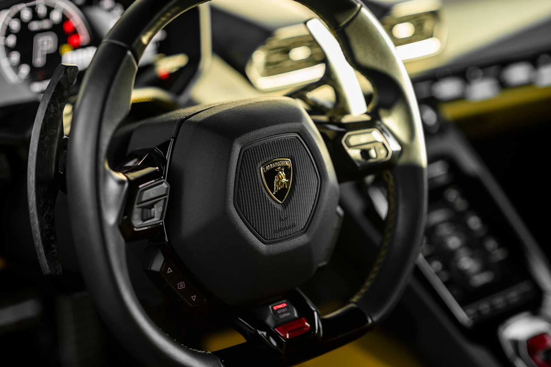 mph004_2867084948_e3a7de7cedfeb461edbad5acce165f0dx_f29978e984