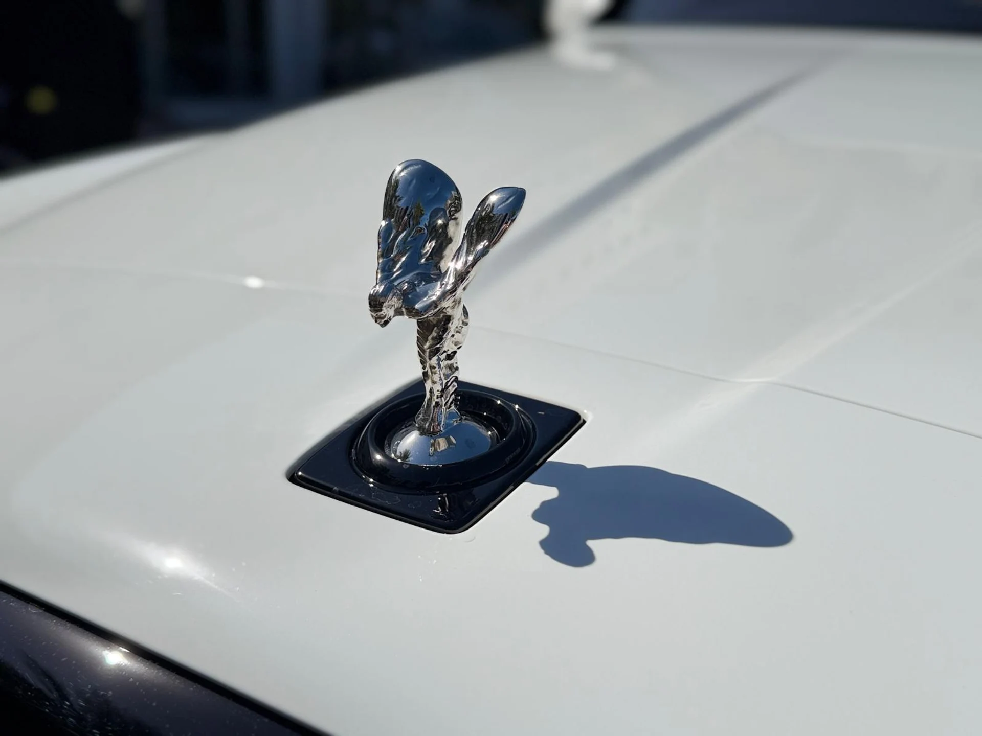 mph004_2883321233_Whats_App_Image_2026_01_27_at_2_54_48_PM_1_4c975f2618