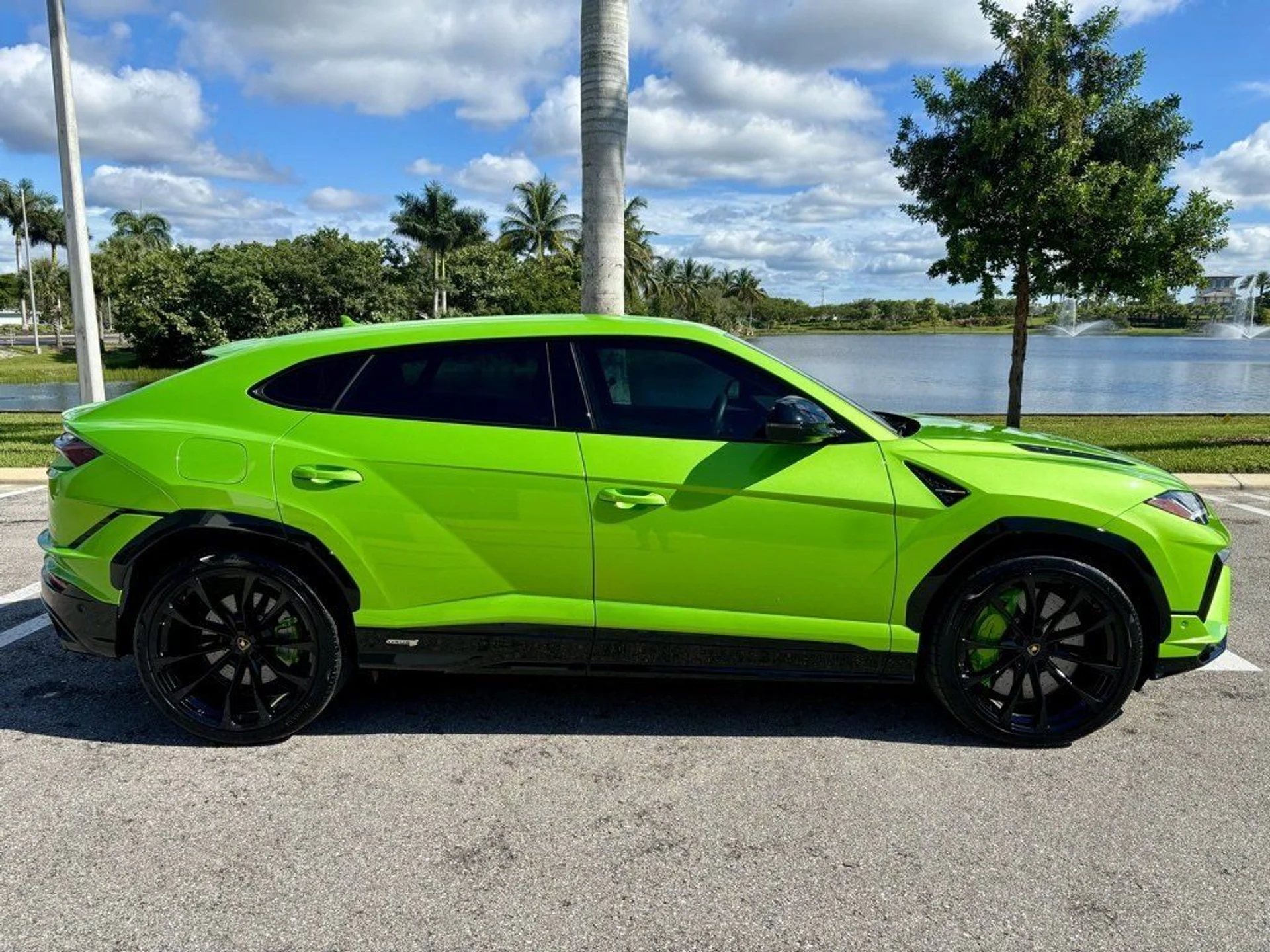 mph004_2892999730_41848b289dd7c787567a623b03766e25_2c8813516c