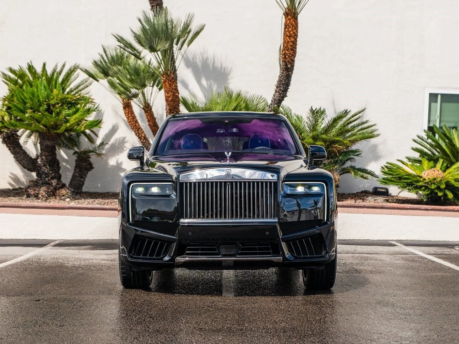 mph004_2974471502_56219a35220bc9bdc149e143baea153ex_3ee0e8c581