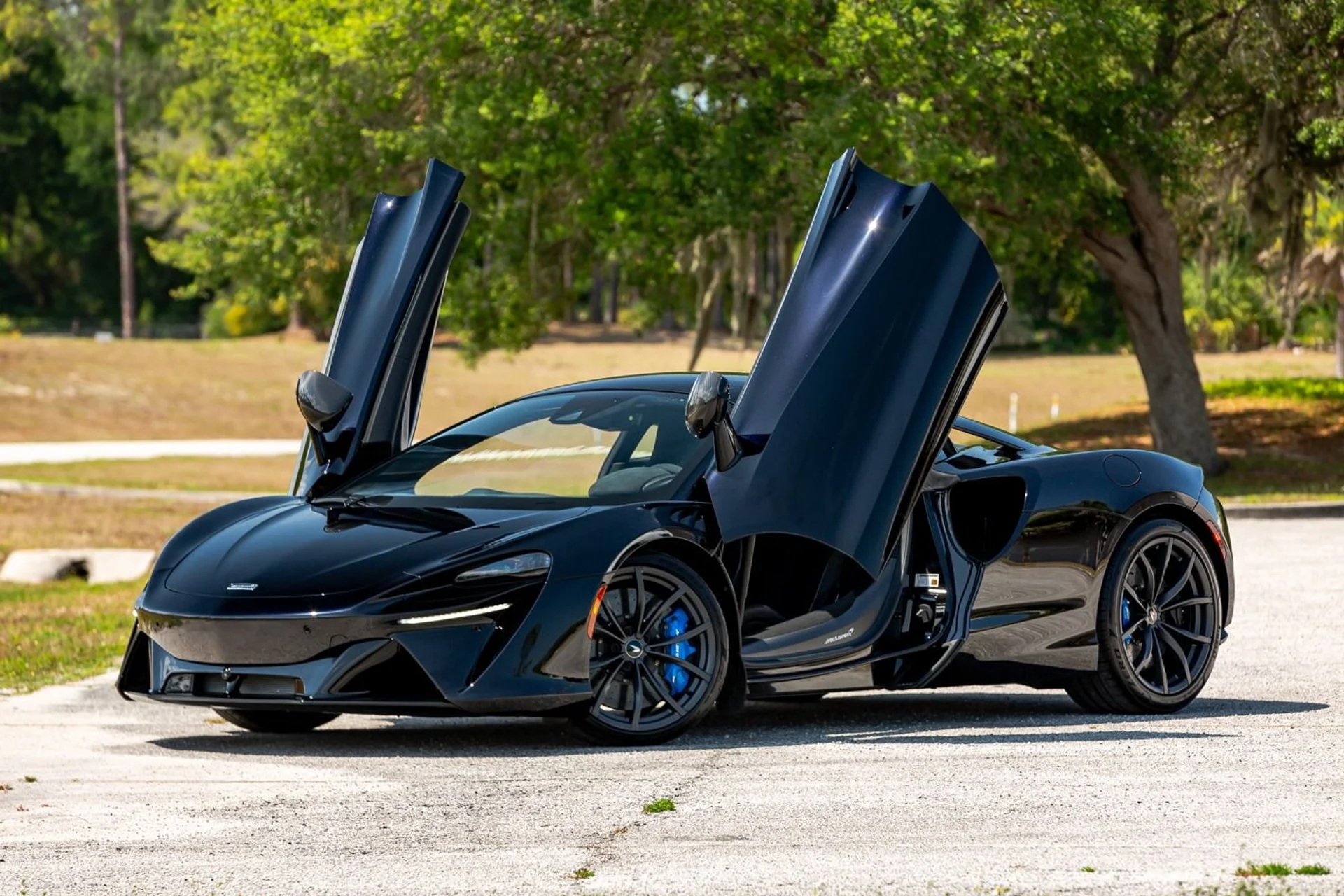 mph004_3029924461_396_p5_l_76bc1ba5d7