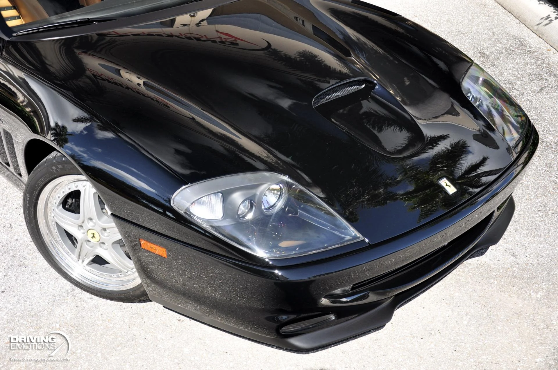 mph004_3064700606_284_p5_l_981b51a1f2