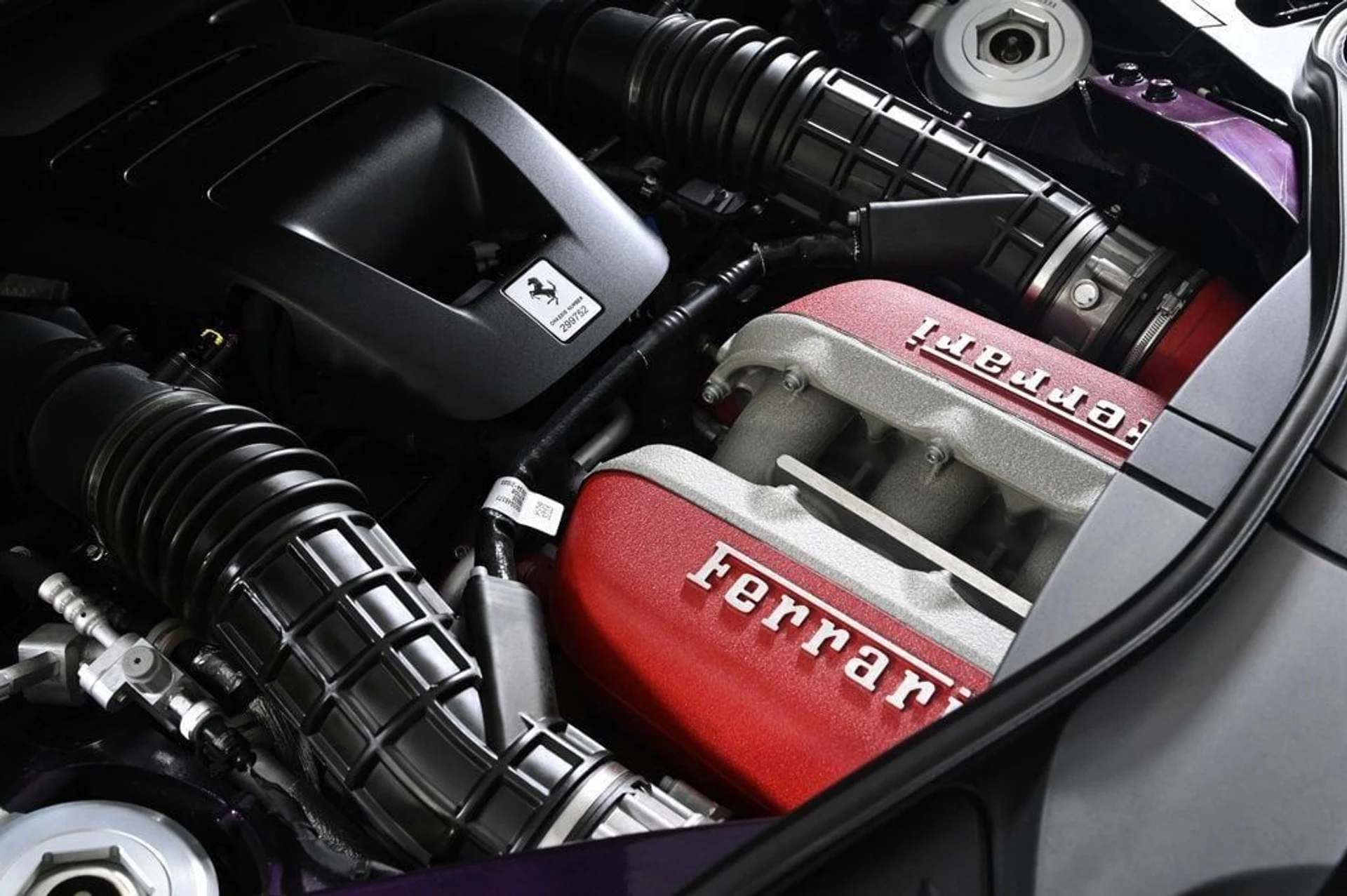 mph004_3066898980_f665caddcb9049128a4e99c0571bdfbe_1b7e431162