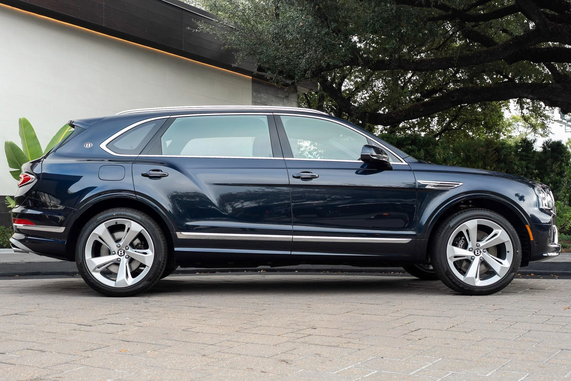 mph004_3109477365_470962004_69254b614f45499275380fe6_1bdb40b3c1