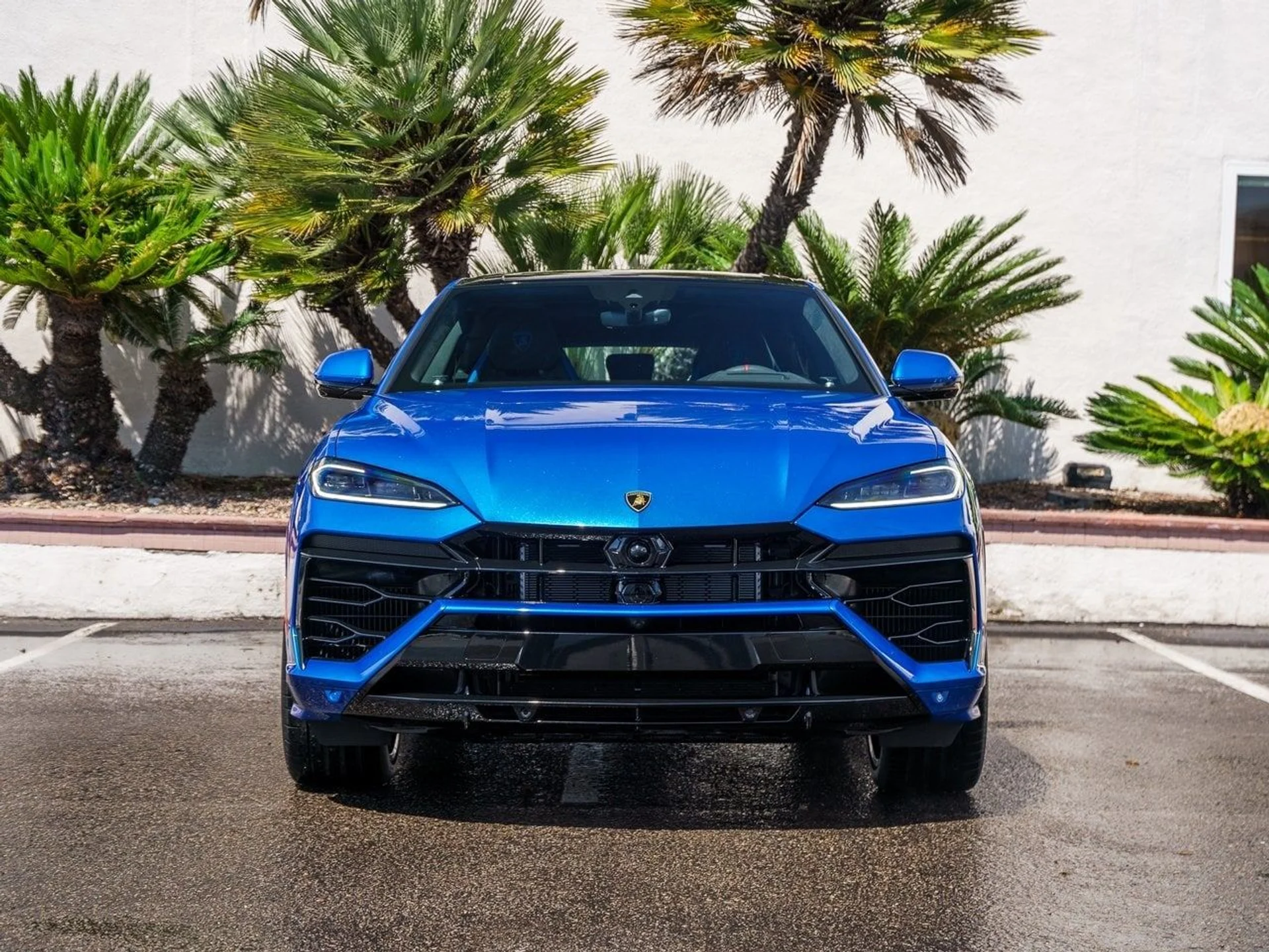 mph004_3177892061_3b6f1f80d5749c855f38a8bdfa76f886x_b731e520d8