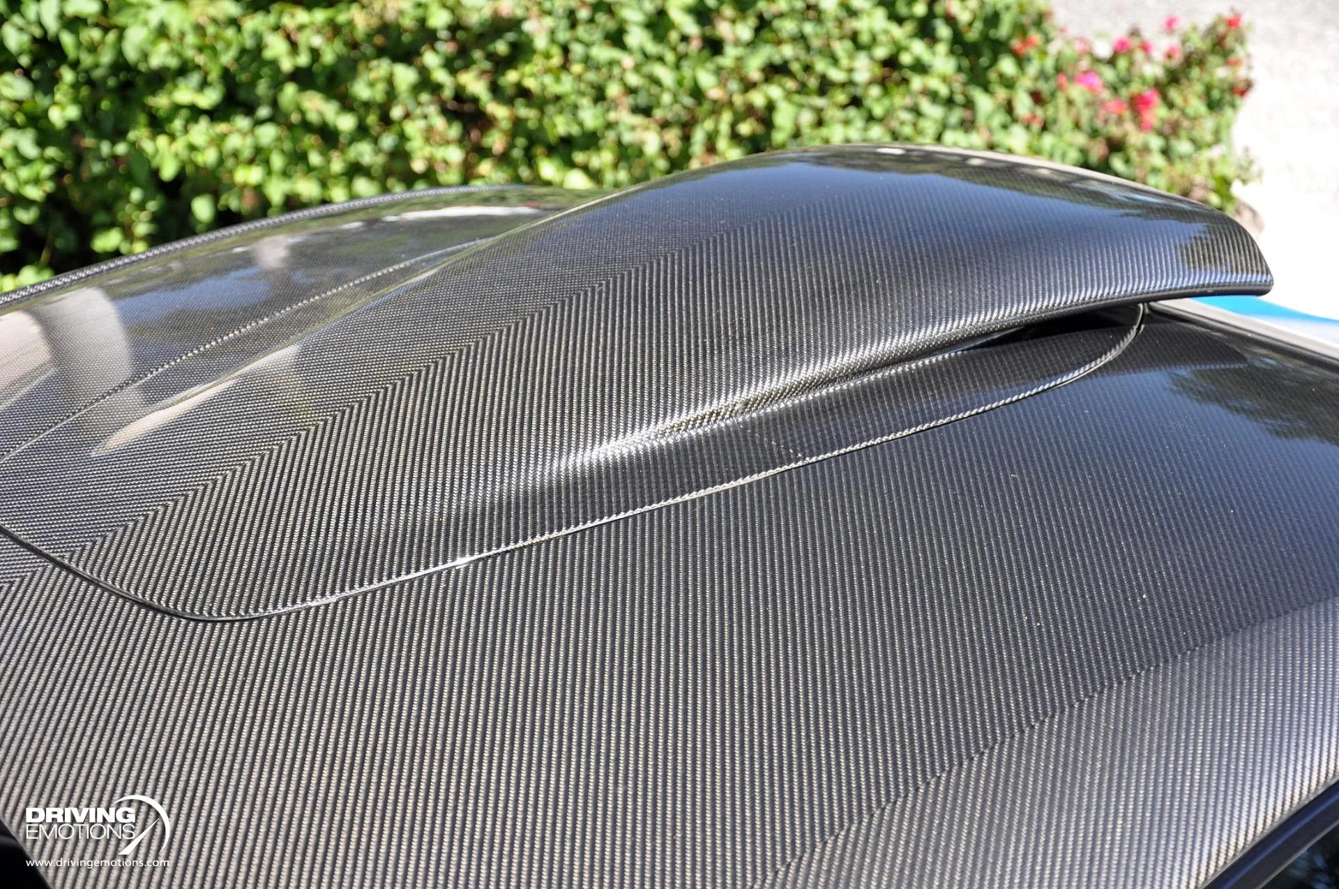 mph004_3279527146_836_p5_l_7a0bd507d0