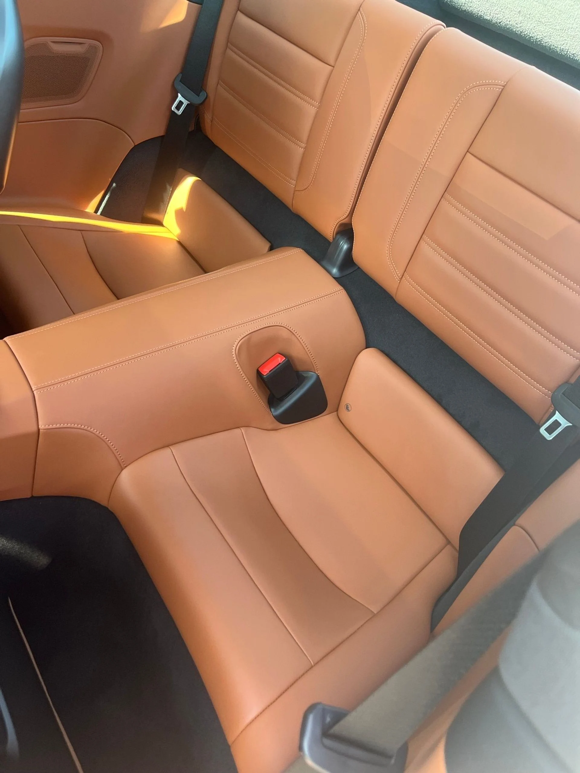 mph004_3304753640_d15bd3098bbaeae6cad38cdd7c5e5792x_47c9505483