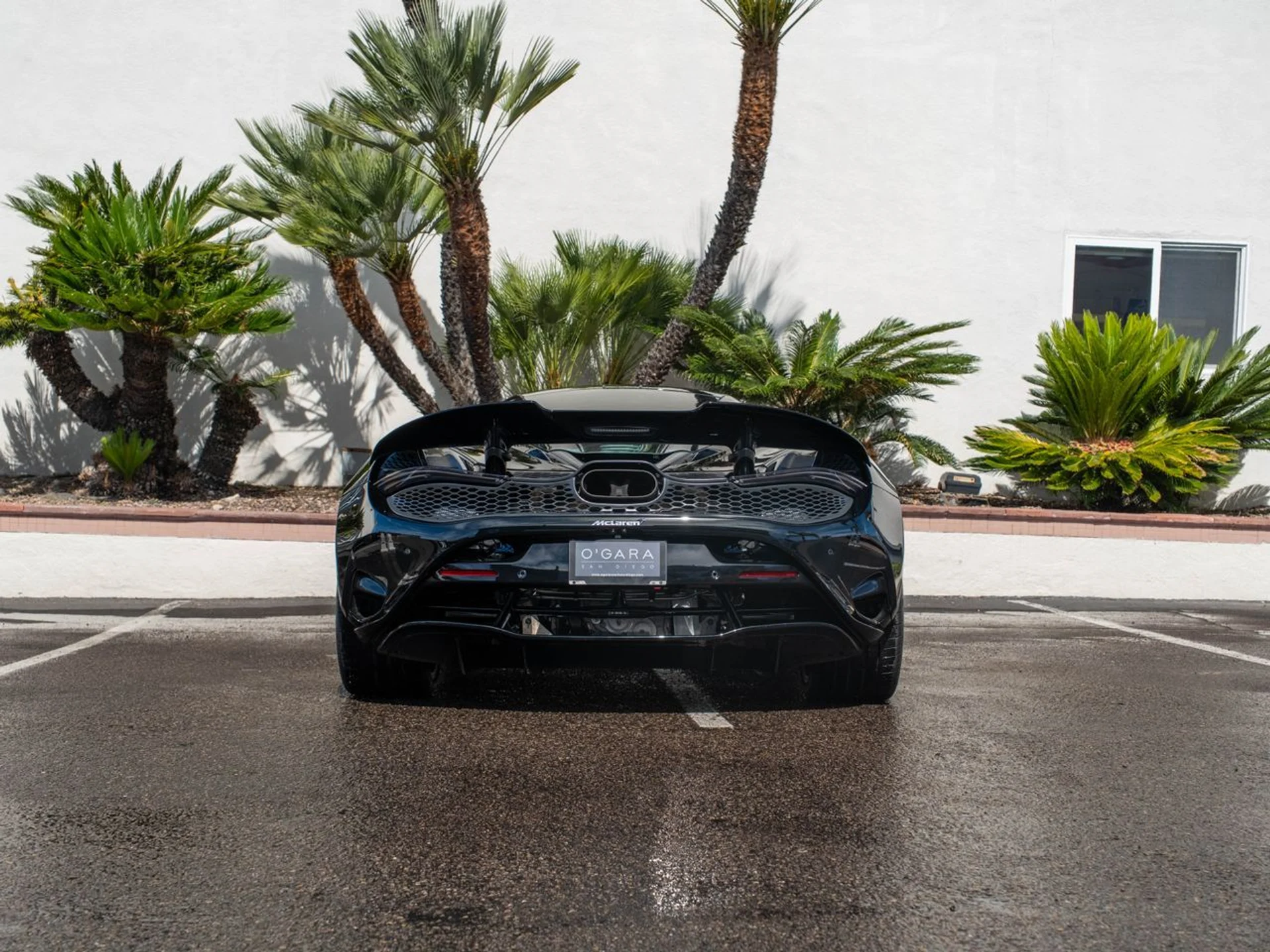 mph004_3396331705_5af8daada30721d2391bd9e9c5f6fd2ax_96e4036e40