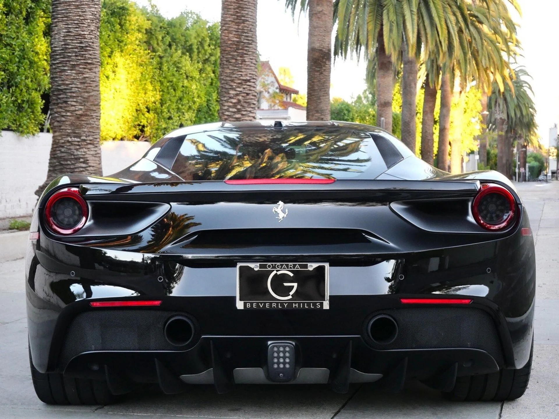 mph004_3436407885_23f4452c85cd6556ad4f090e04fb667ex_70637bcea1