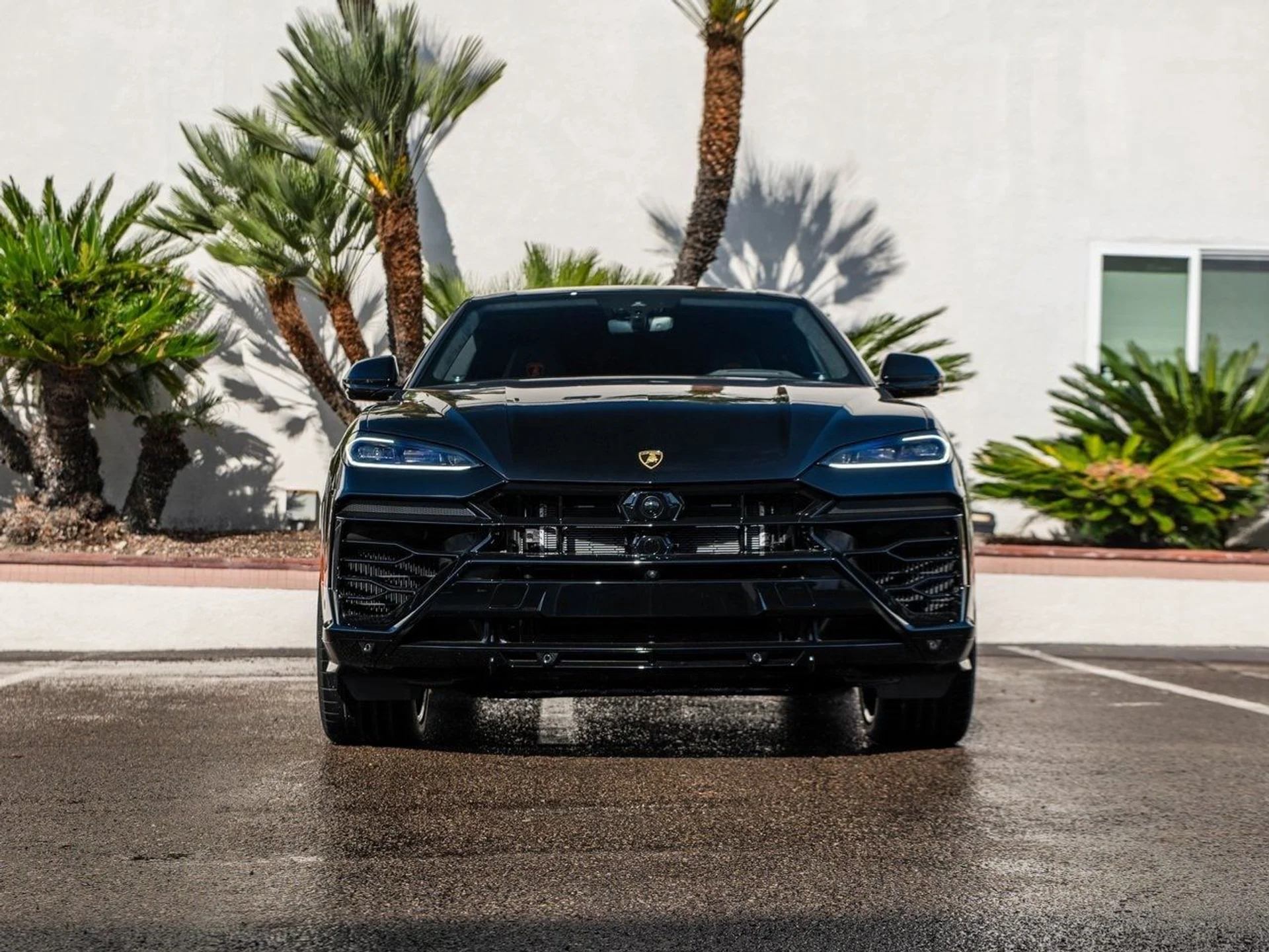 mph004_3446757694_fdc007bf82e1e1650e3016ed99249280x_c3d27fe44c