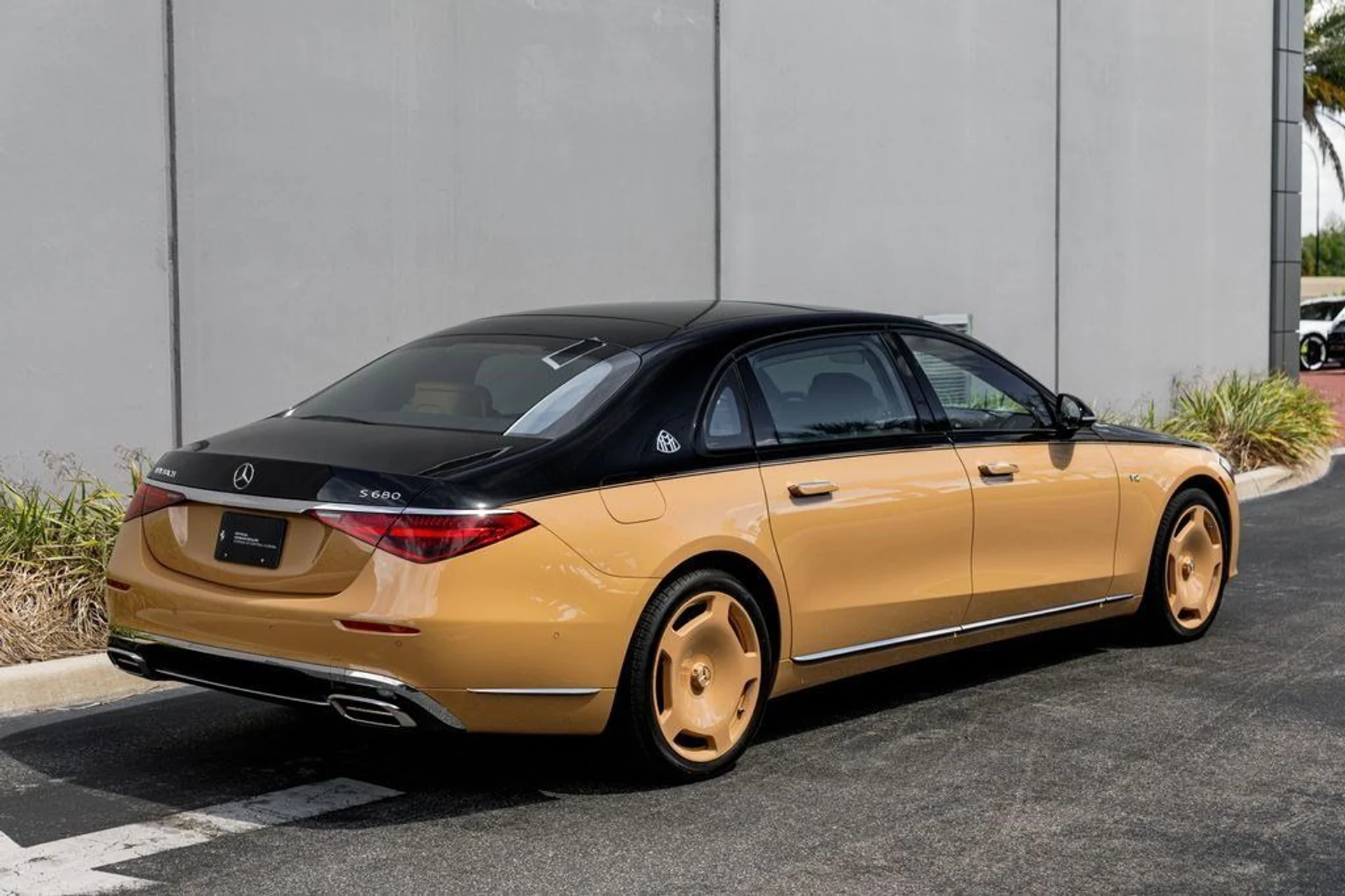 mph004_3448235363_f25781a84fe0c11086807ff94b4e214c_229690b6c0