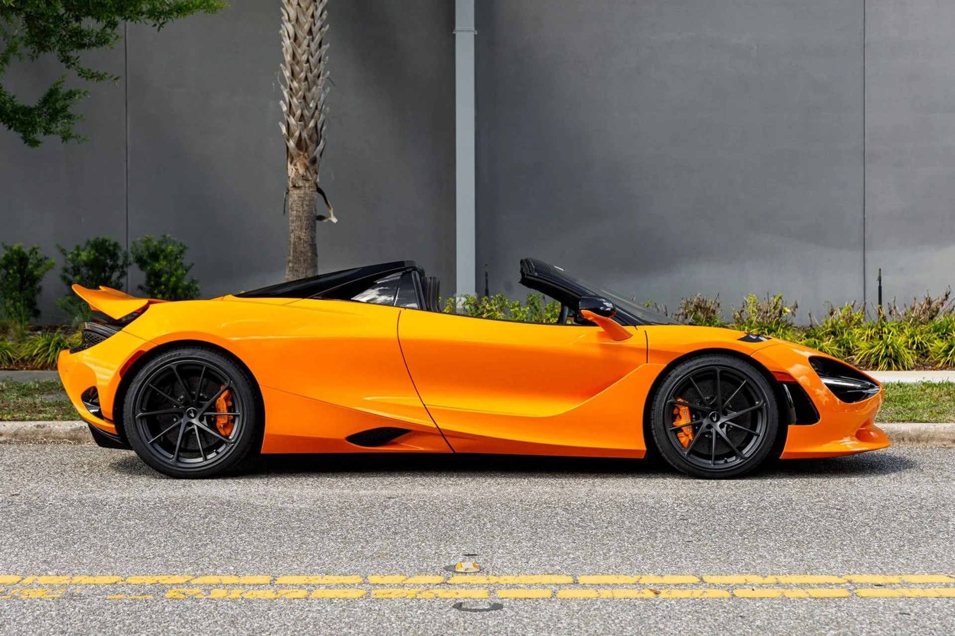 mph004_3469309988_515_p5_l_a9d71e44ef