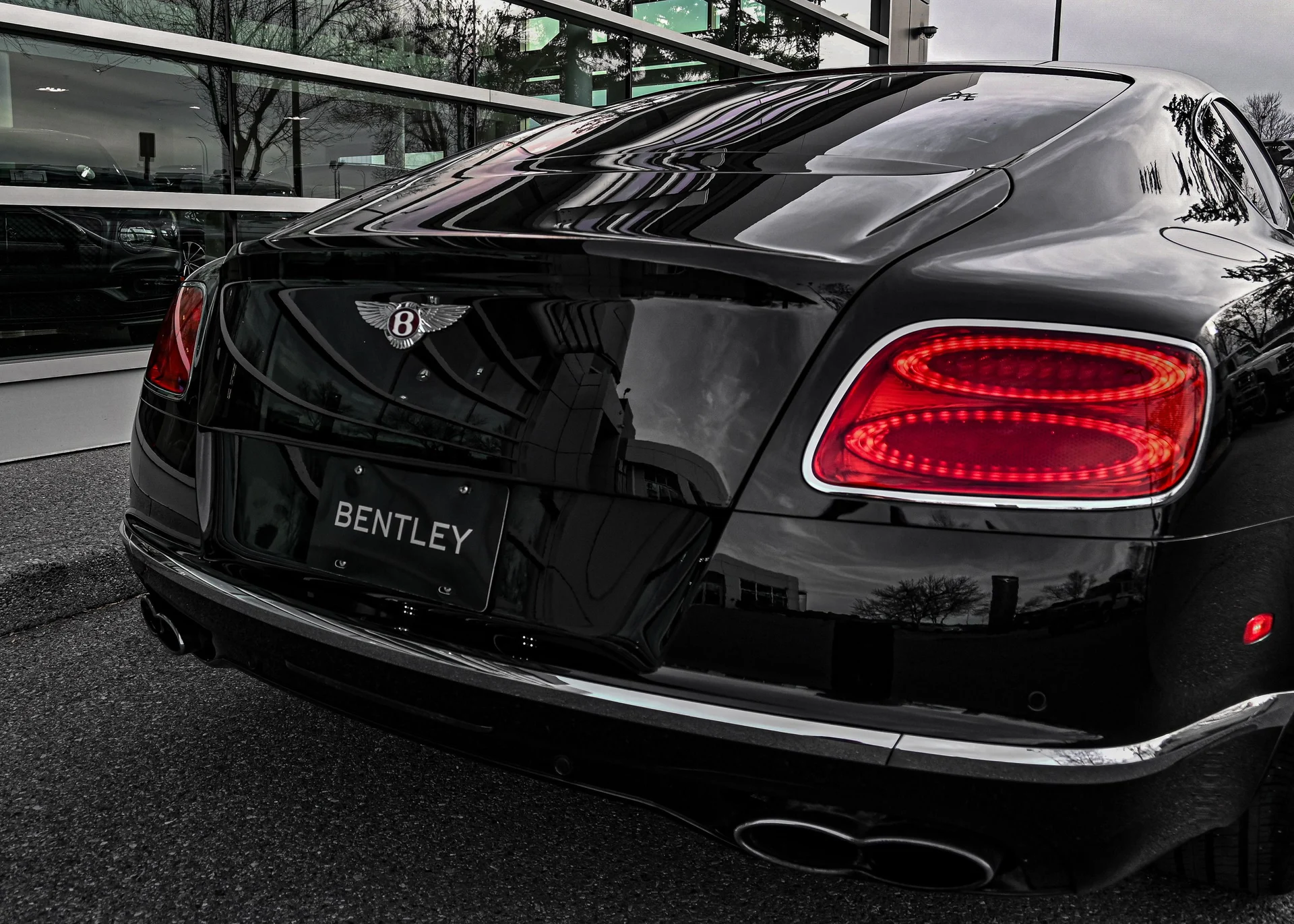 mph004_3519535292_15b333c5_d56c_4059_903c_8072193d5245_df5f916297