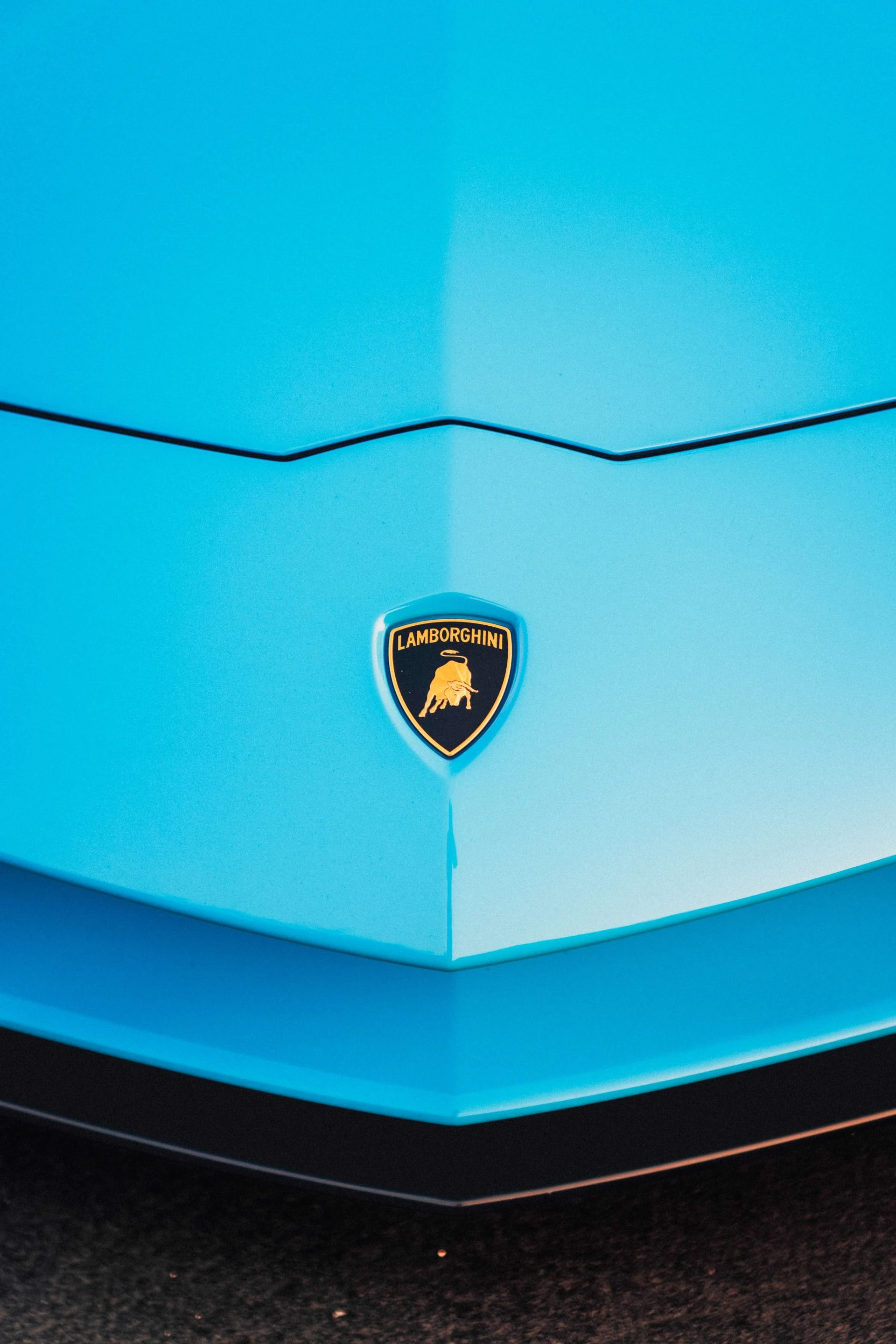 mph004_3654889424_9696_p5_l_9b37f69906