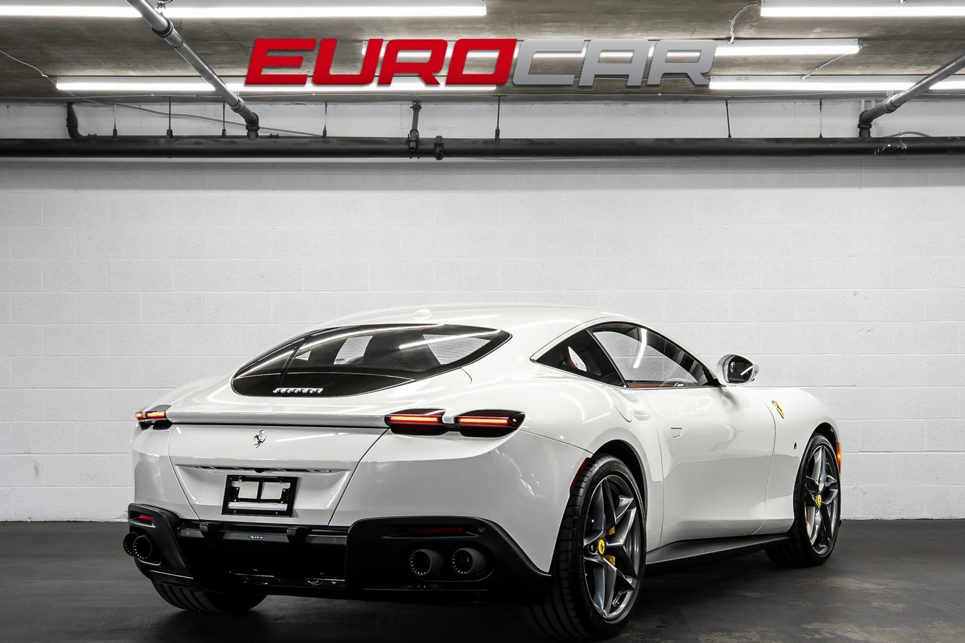 mph004_367793748_image_5_317d379bbc