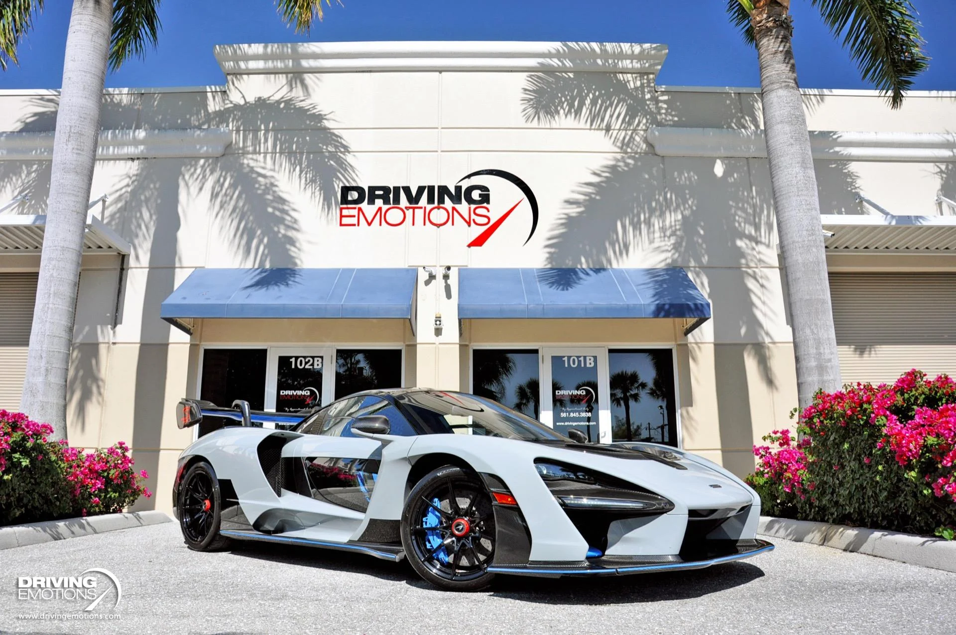 mph004_3683843224_683_p5_l_2da6dbaee9