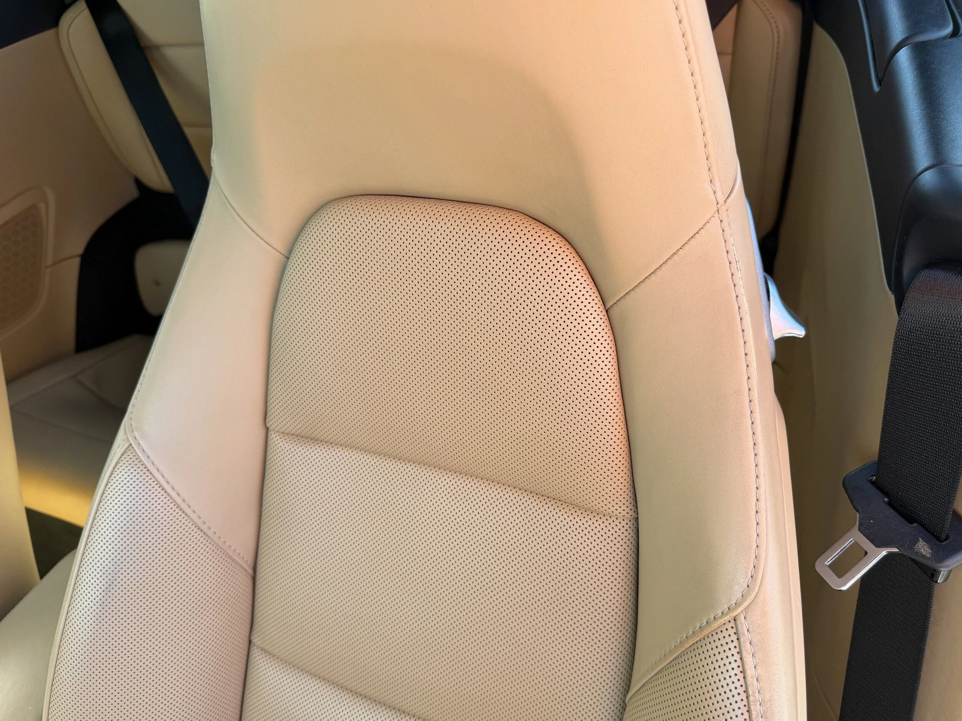 mph004_3687141540_cfbf9b67656aa6494bb40d0e99fe6866x_d89e2f5b1c