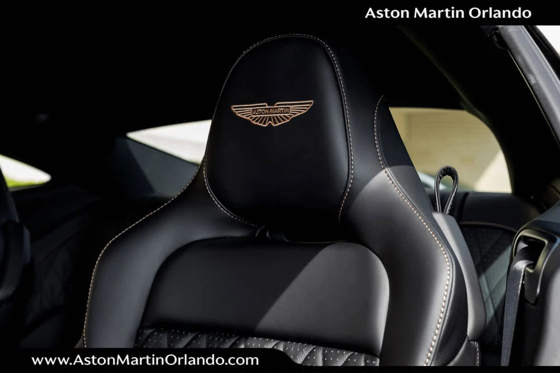 mph004_3757377529_5_c10a90ce61