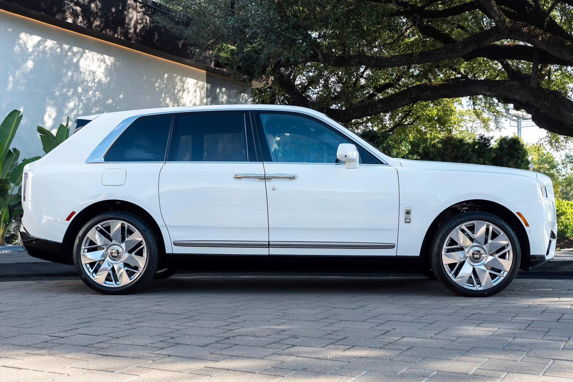 mph004_3767078028_476162068_695cc5cc8f3ee920bf5188b9_737208a07c