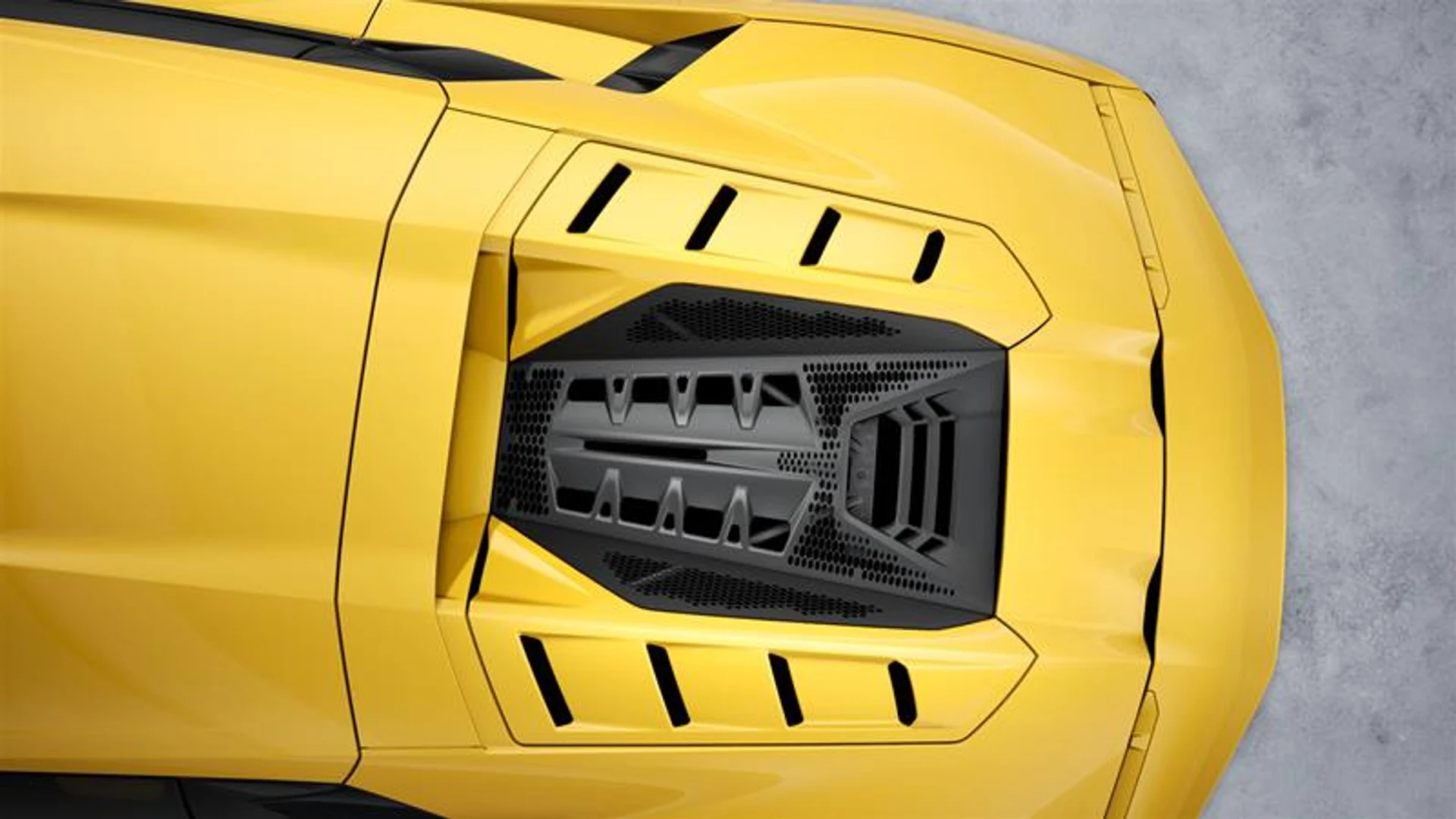 mph004_3809196467_11646013_1552536343_0cd885f1a5