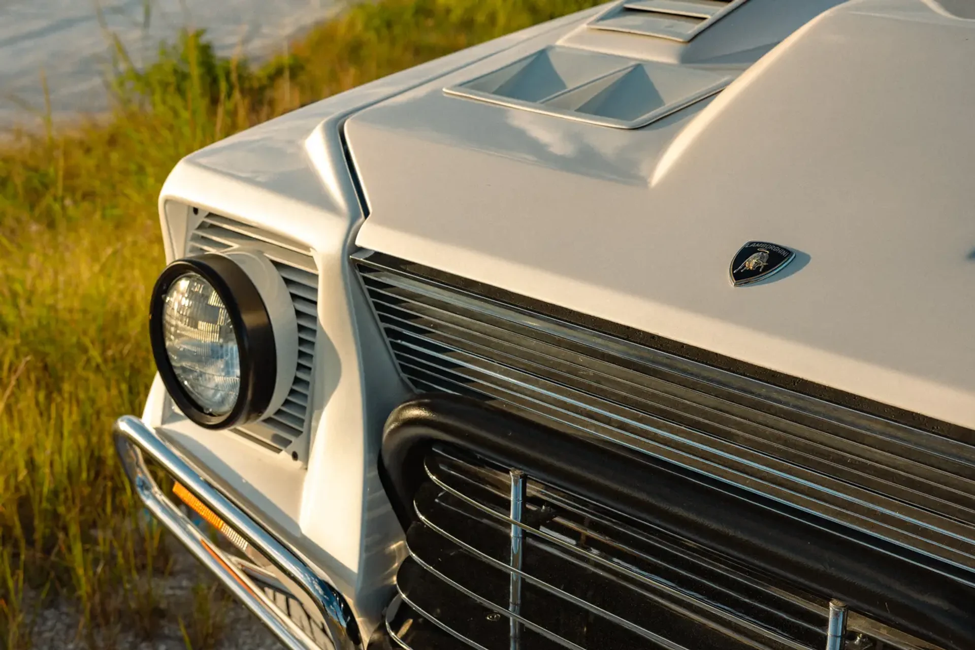 mph004_3898041935_695d8a9f07411b7ba4eb4d7d_gallery_image_4_1767738009936_cf6ba9796d