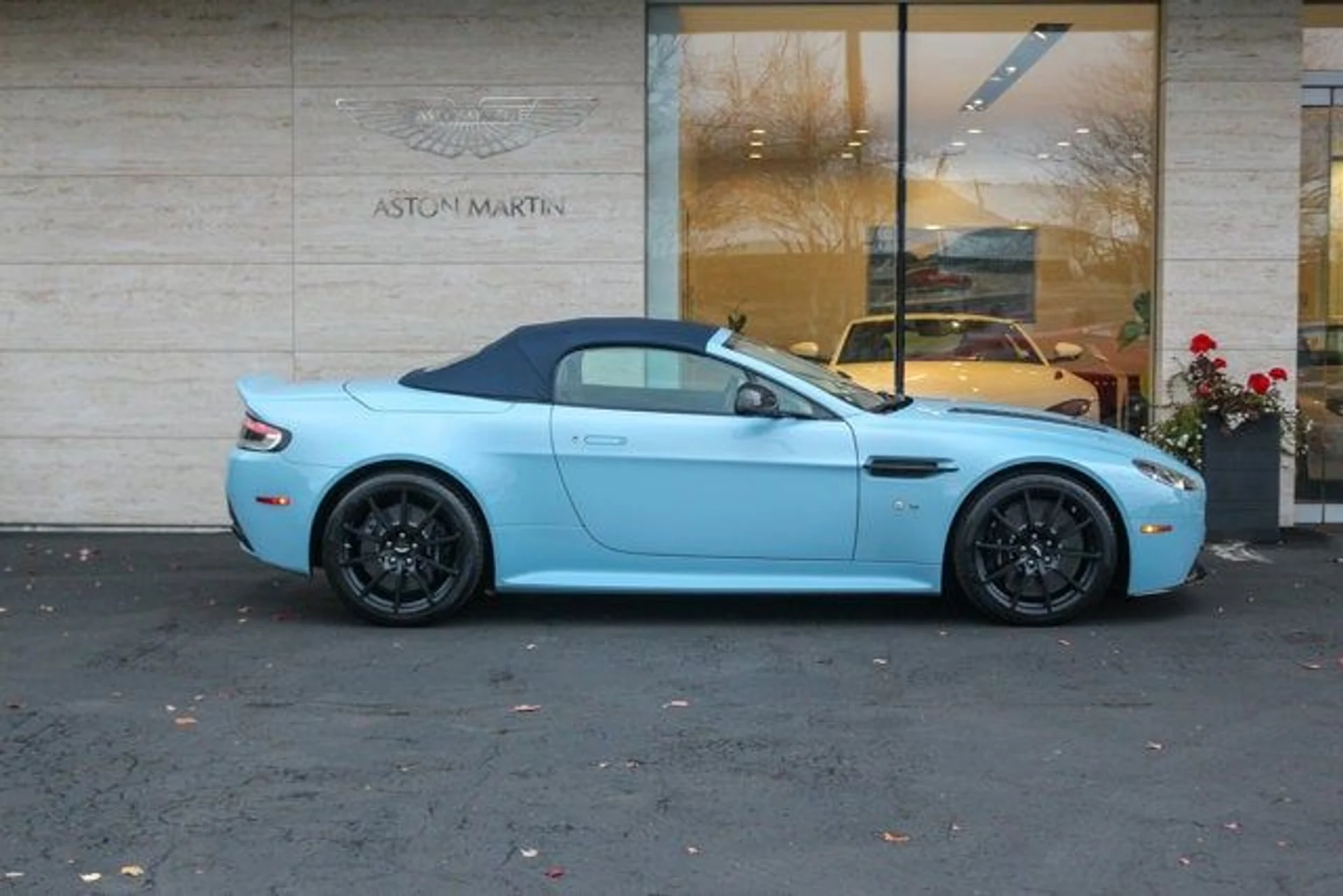 mph004_3943877537_5_8ac58e9a71