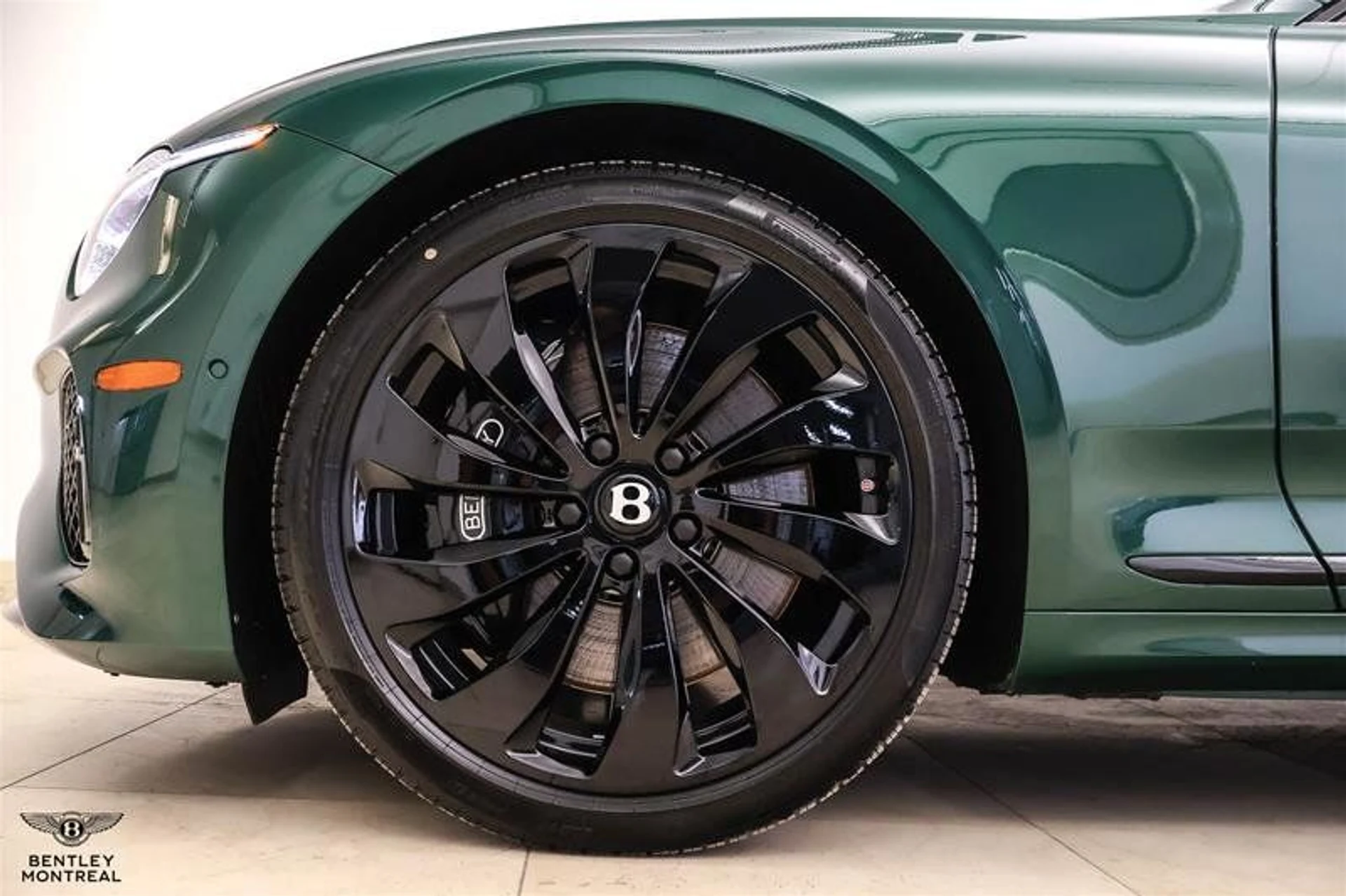 mph004_4005456352_38026591_04305_11489628_1616640249_6e20fb95d3