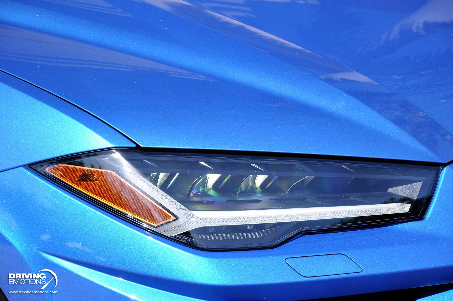 mph004_4074356216_801_p5_l_65fafe9382