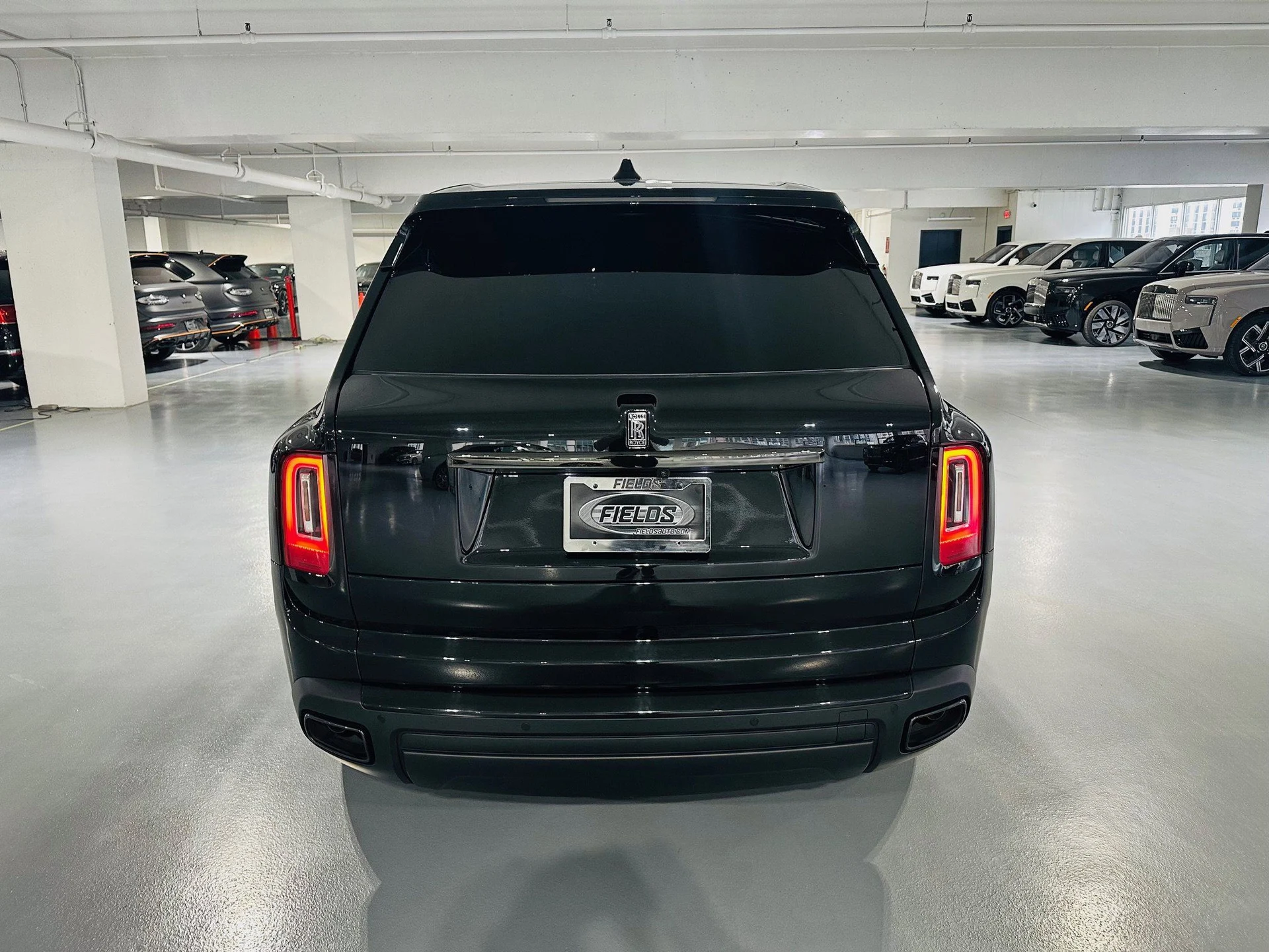 mph004_4112073964_257d62fab461b08f1a3ed1419d3b2821x_a6cd098876