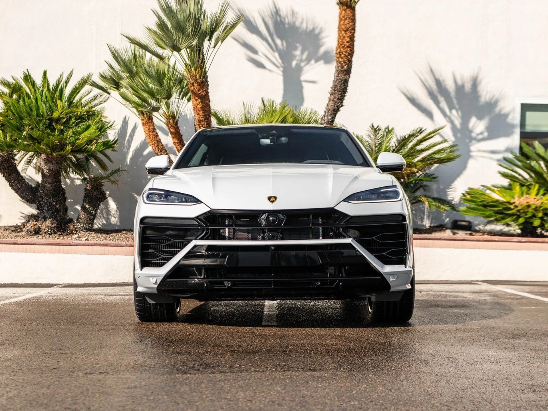 mph004_4113519828_944ed45e8d1473eaa9099fb09f64f743x_23a49f42e5